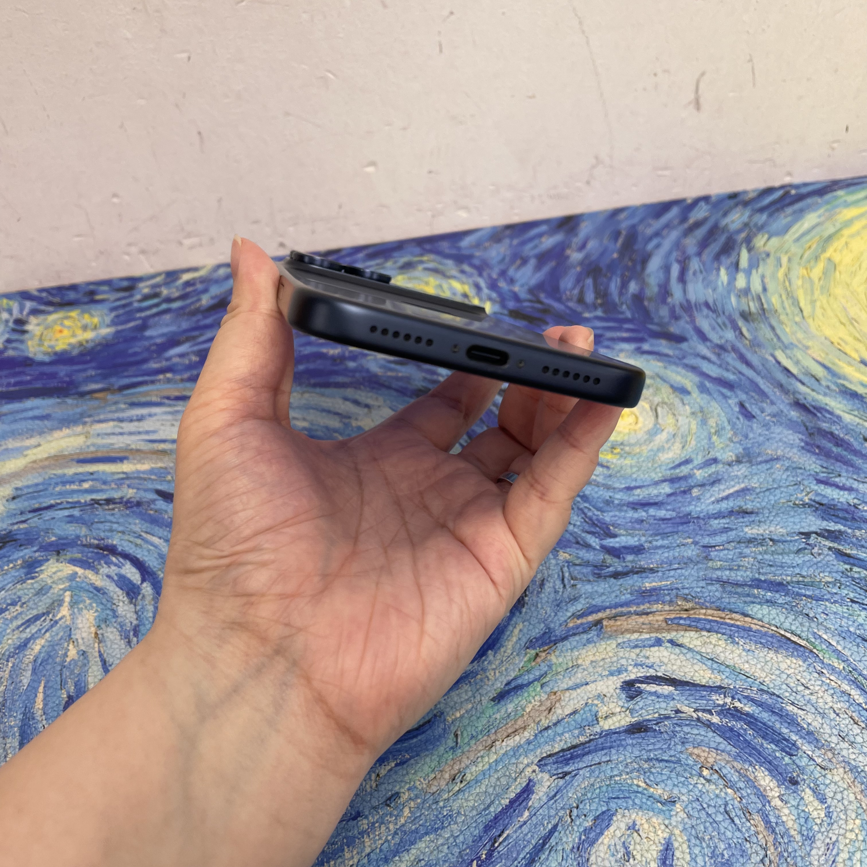 *6178 17 Promax 勁靚機 256GB 電100 藍色 blue