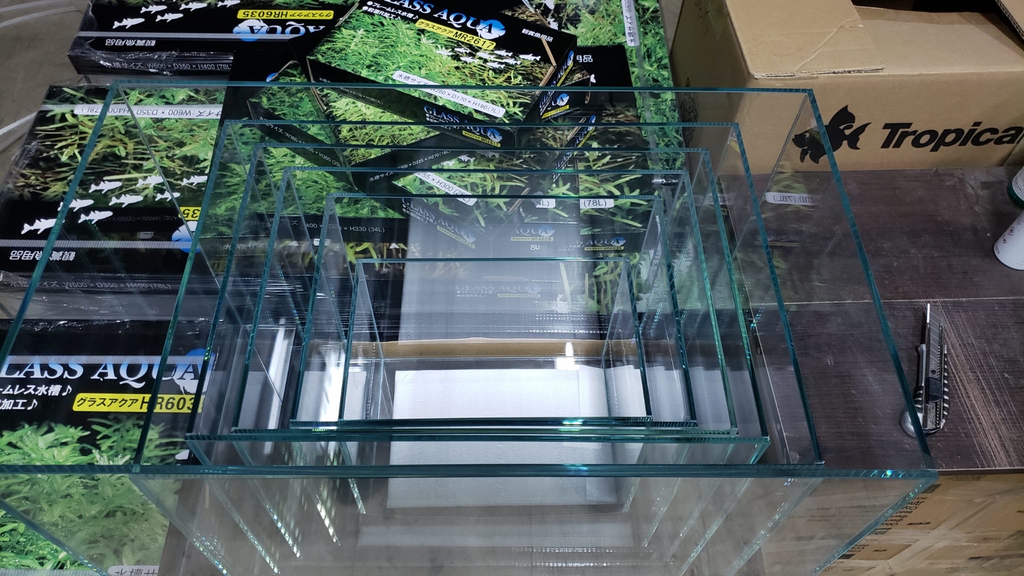 Glass Aqua 超白水晶玻璃直角缸– Sze Sun Aquarium & Pet