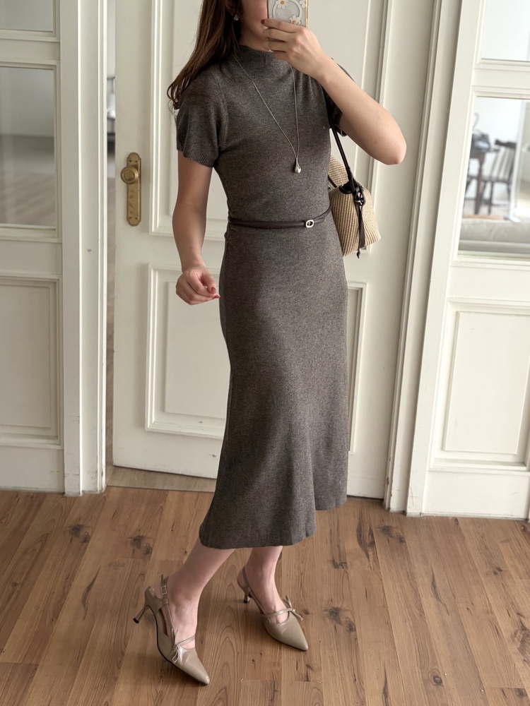 Timeless Belted Knit Dress (Brown)
