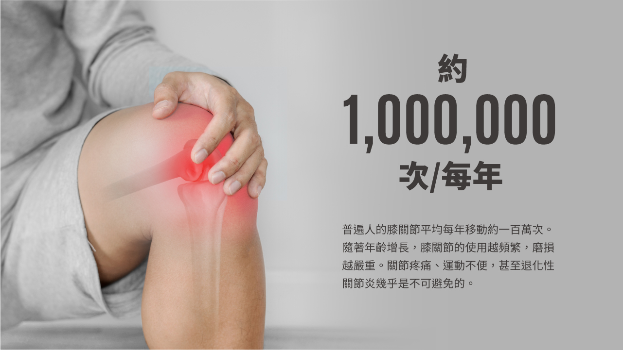 Maxcare - 美天膝健寶 [預計 : 7月中至尾發貨]