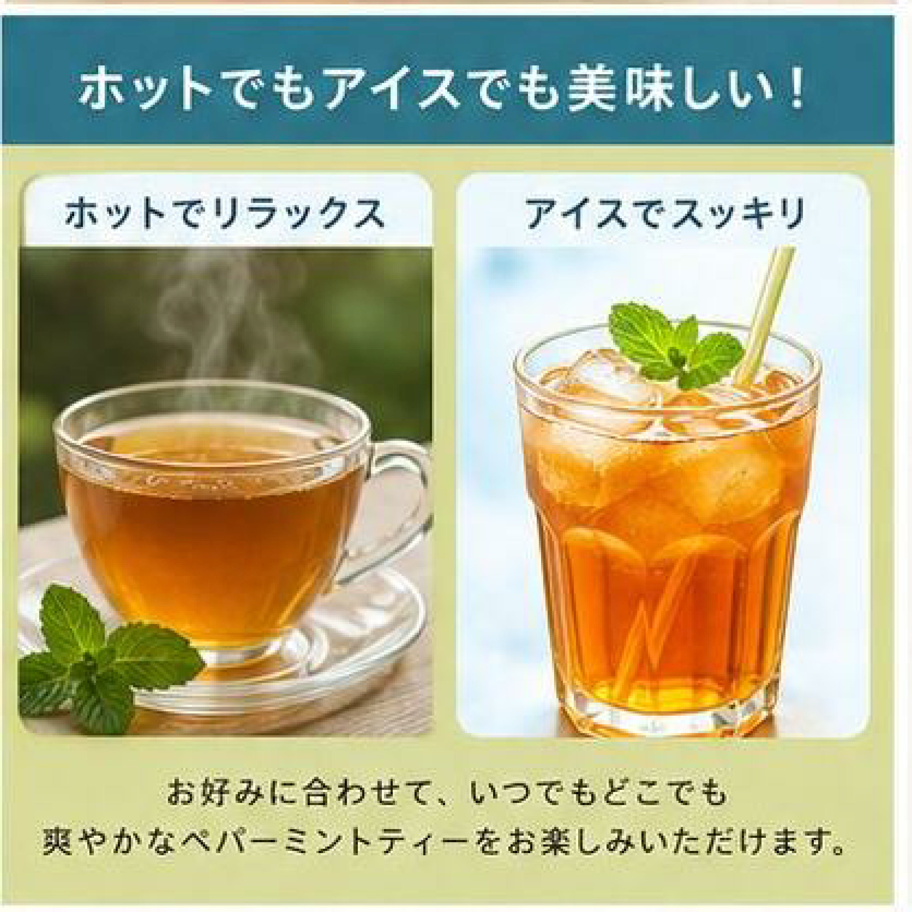 日本Costco本週特價  Cafe Tea 100% 薄荷茶包（240 包） 