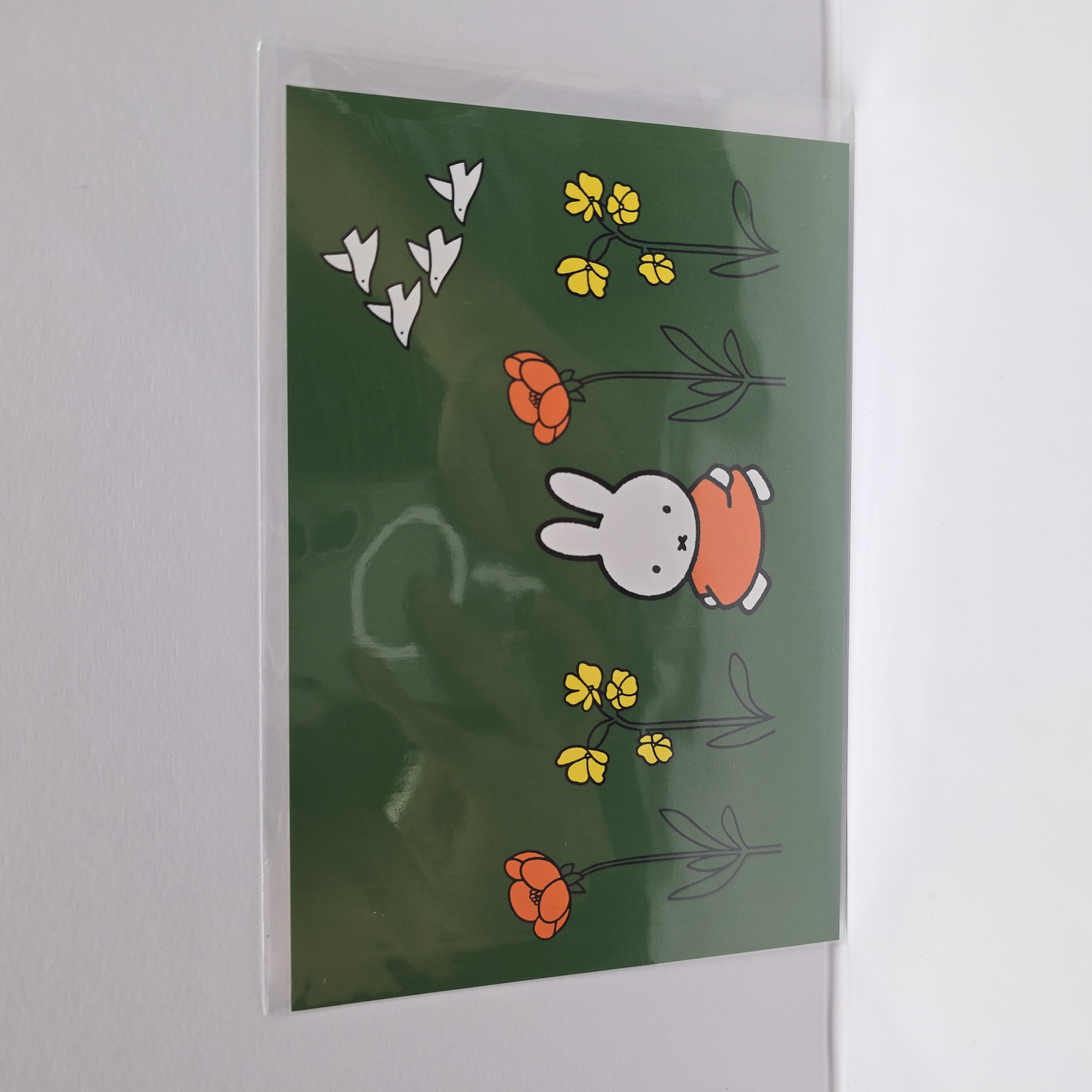 miffy zakka 限定 postcard BNMZ6-PC255
