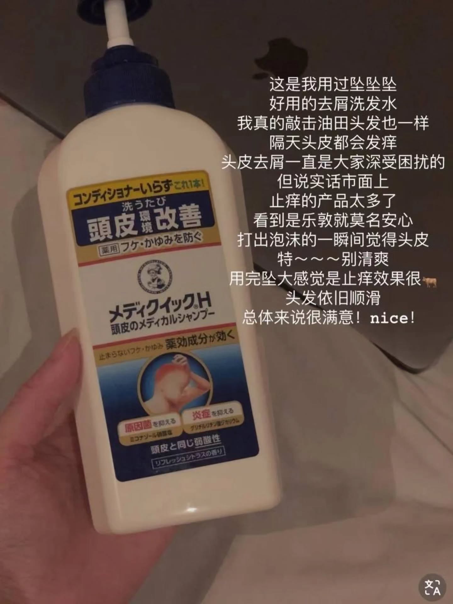 🇯🇵 乐敦 去屑止痒洗发 320ML