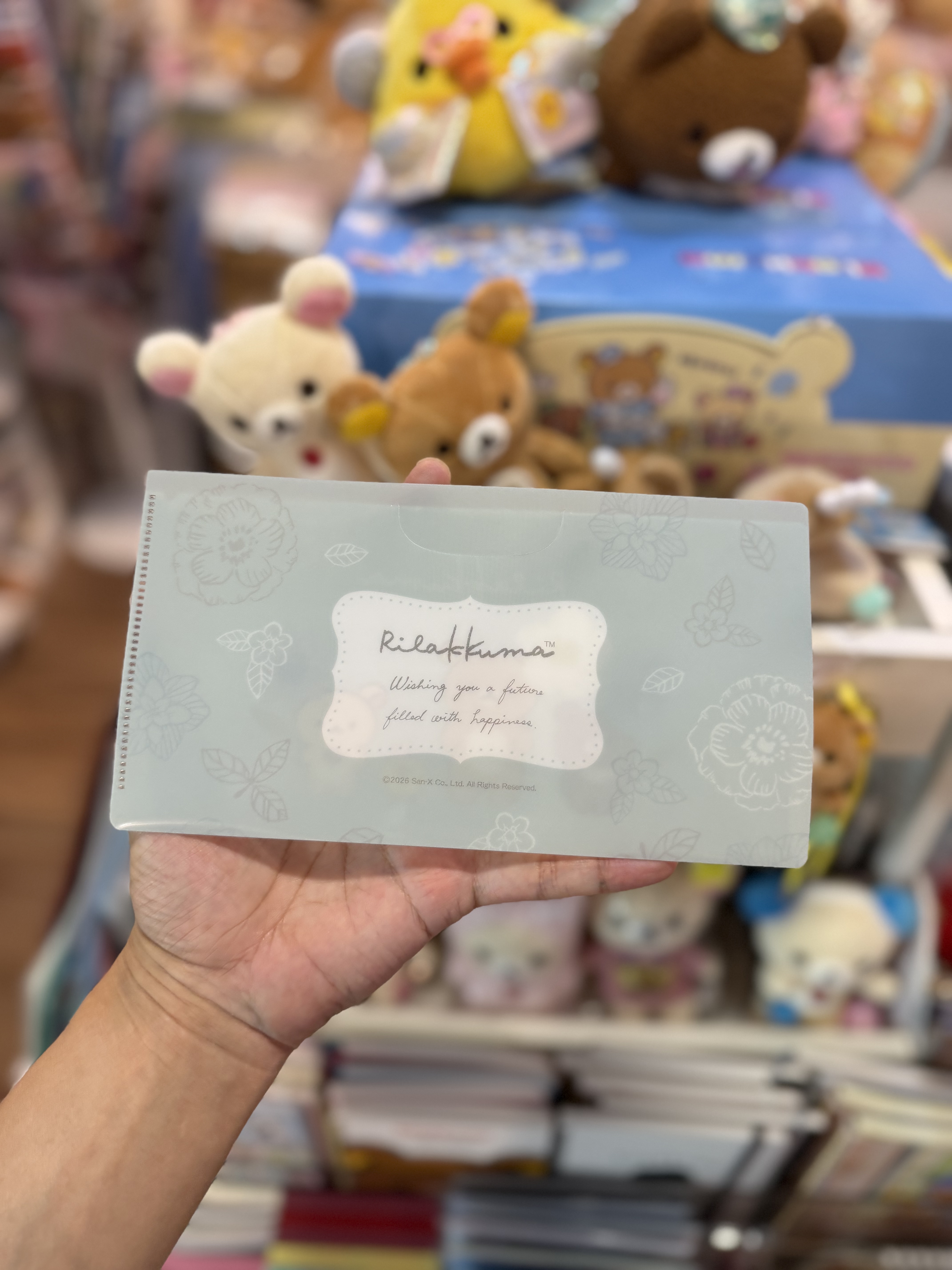 《現貨》全新日本郵便局限定 Rilakkuma A5+A4file+收據袋