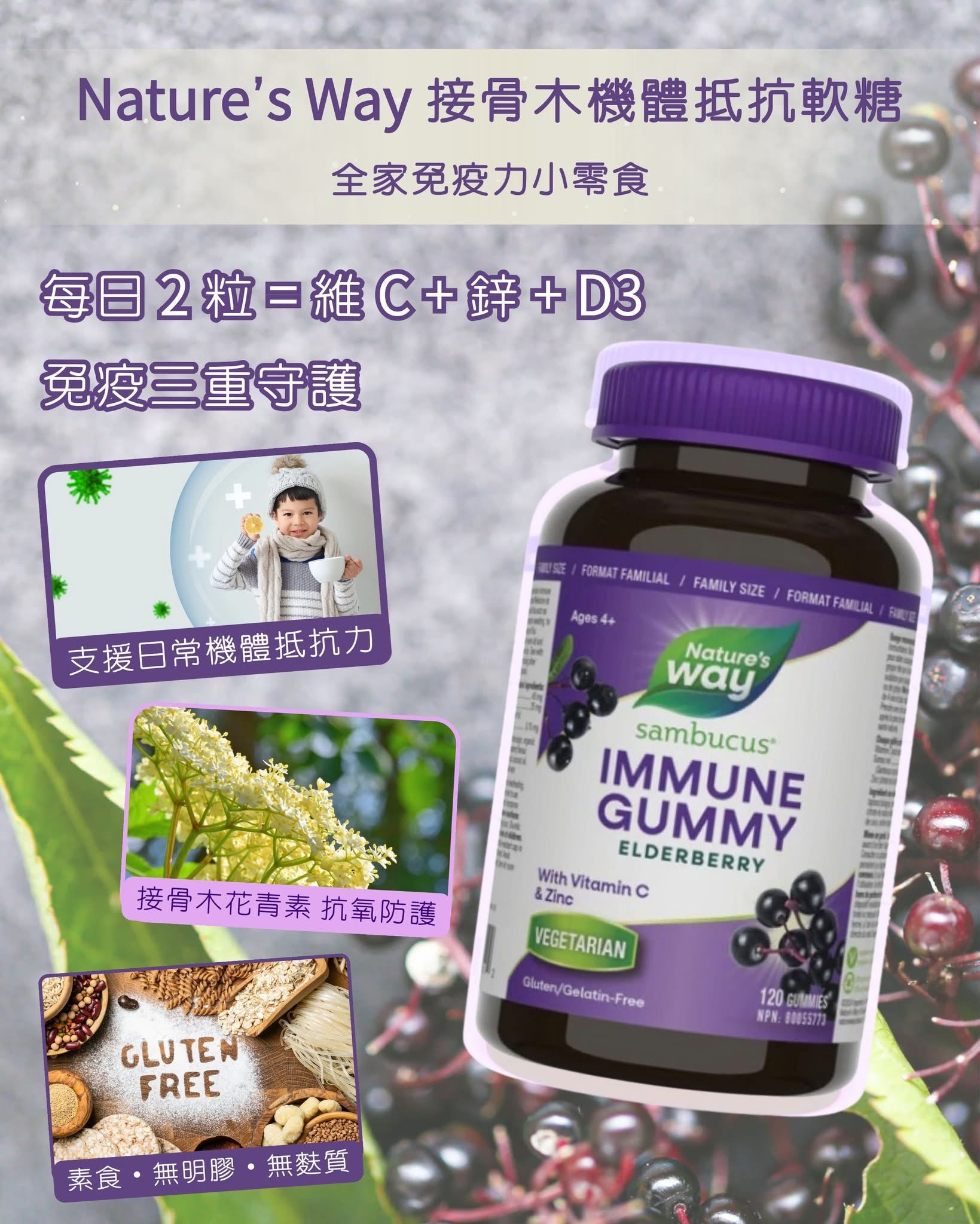 Sambucus 接骨木免疫支持 - 120 粒軟糖 Elderberry Immune Support  