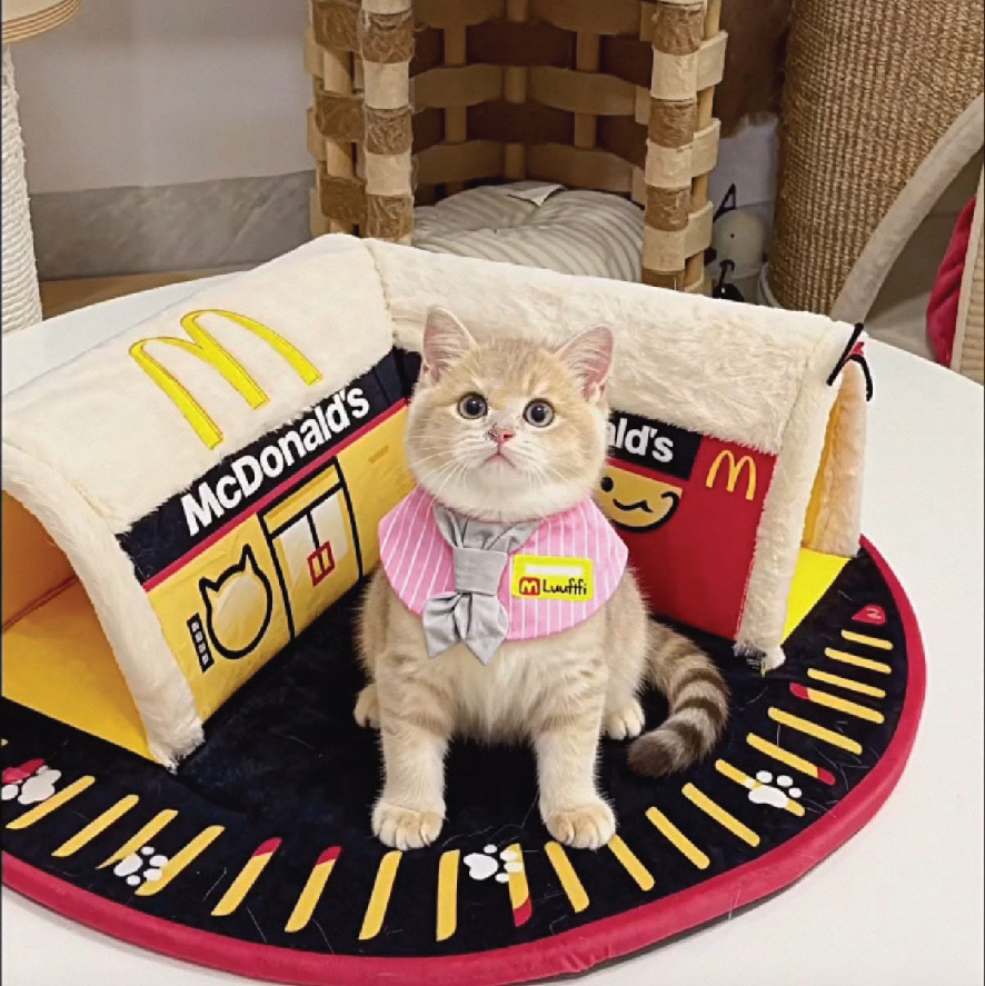 麥麥喵帽子隧道窩