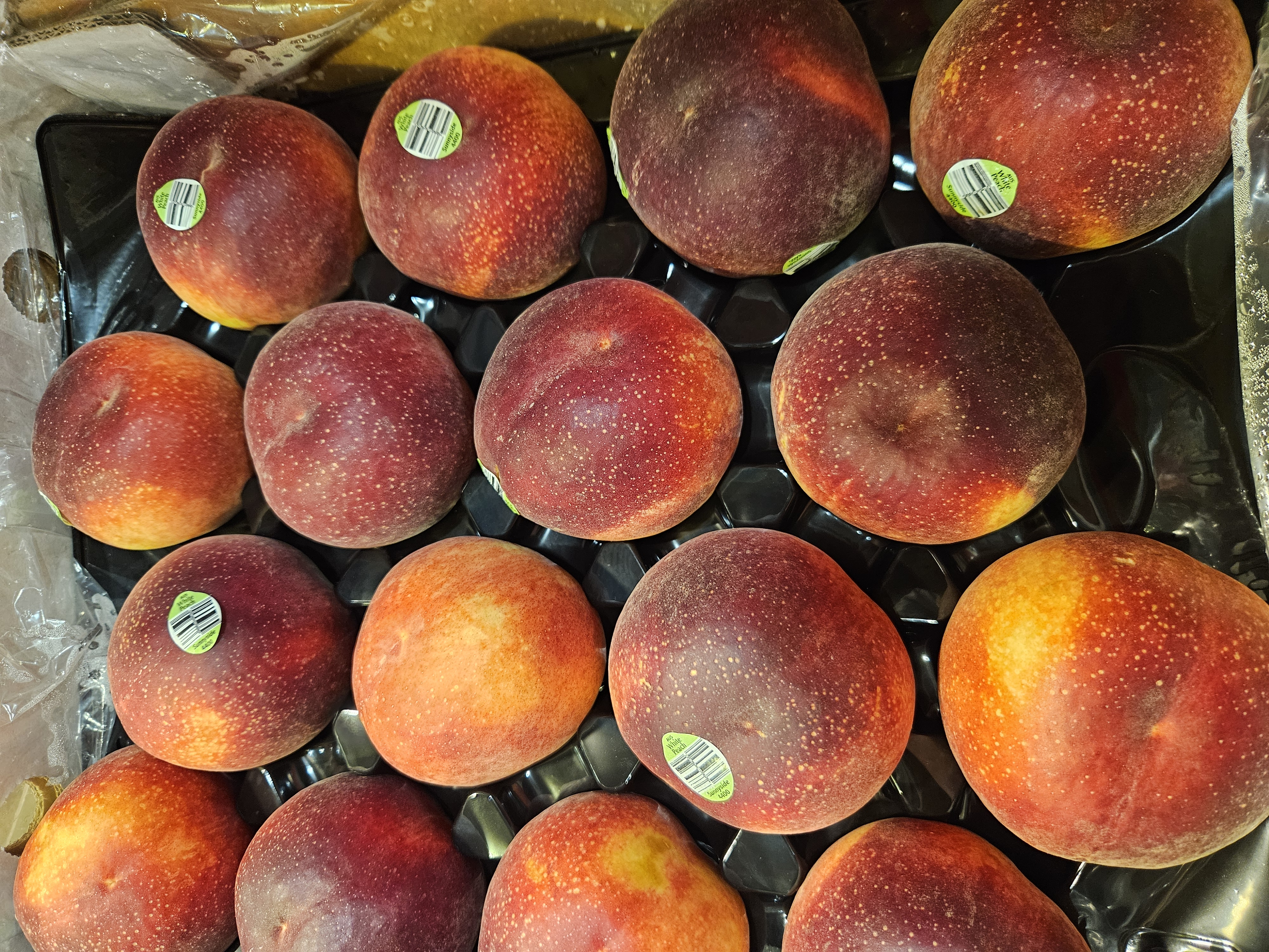 澳洲水蜜桃每份兩個