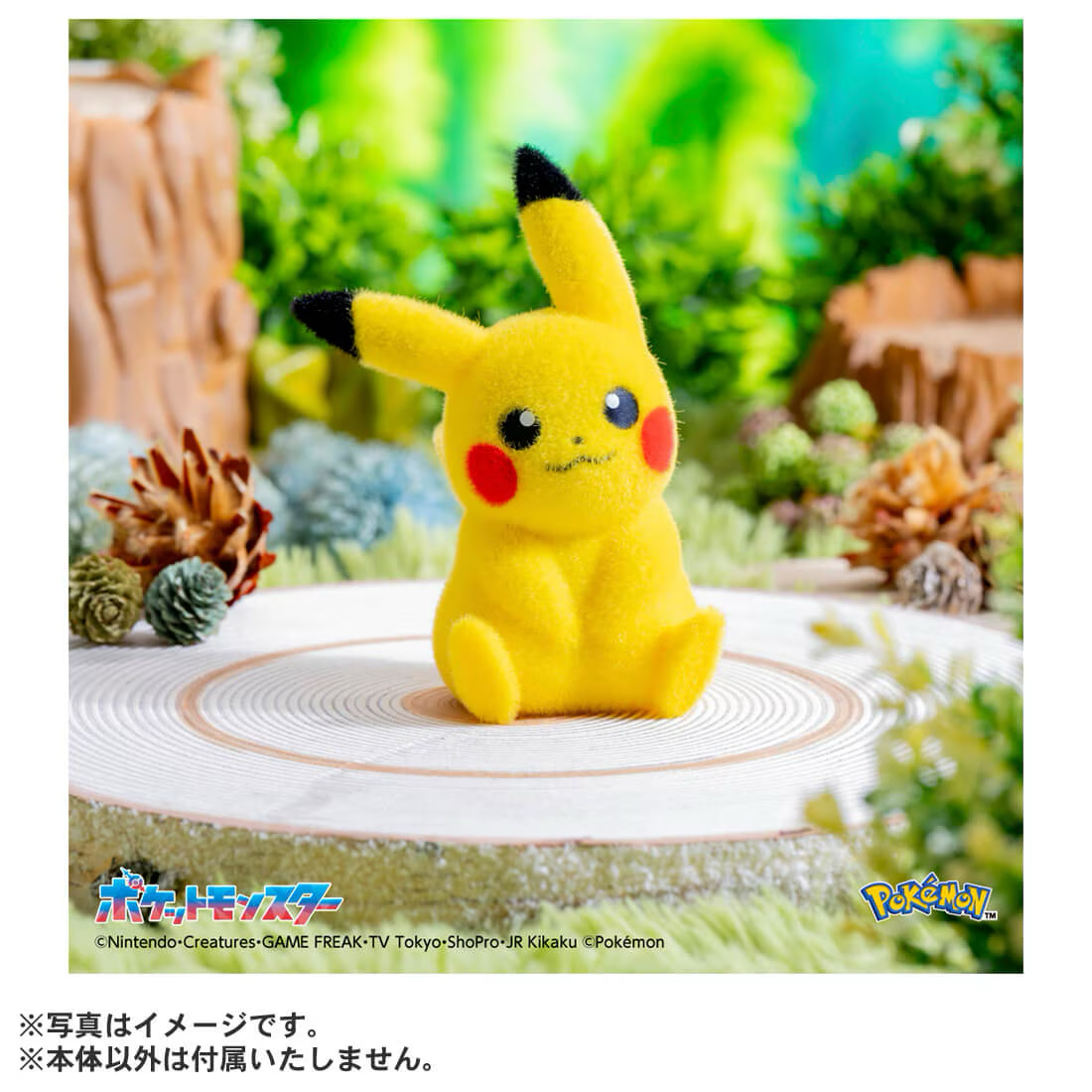 【Feb28】Pokemon Tenohira Pikachu Pokefuwa