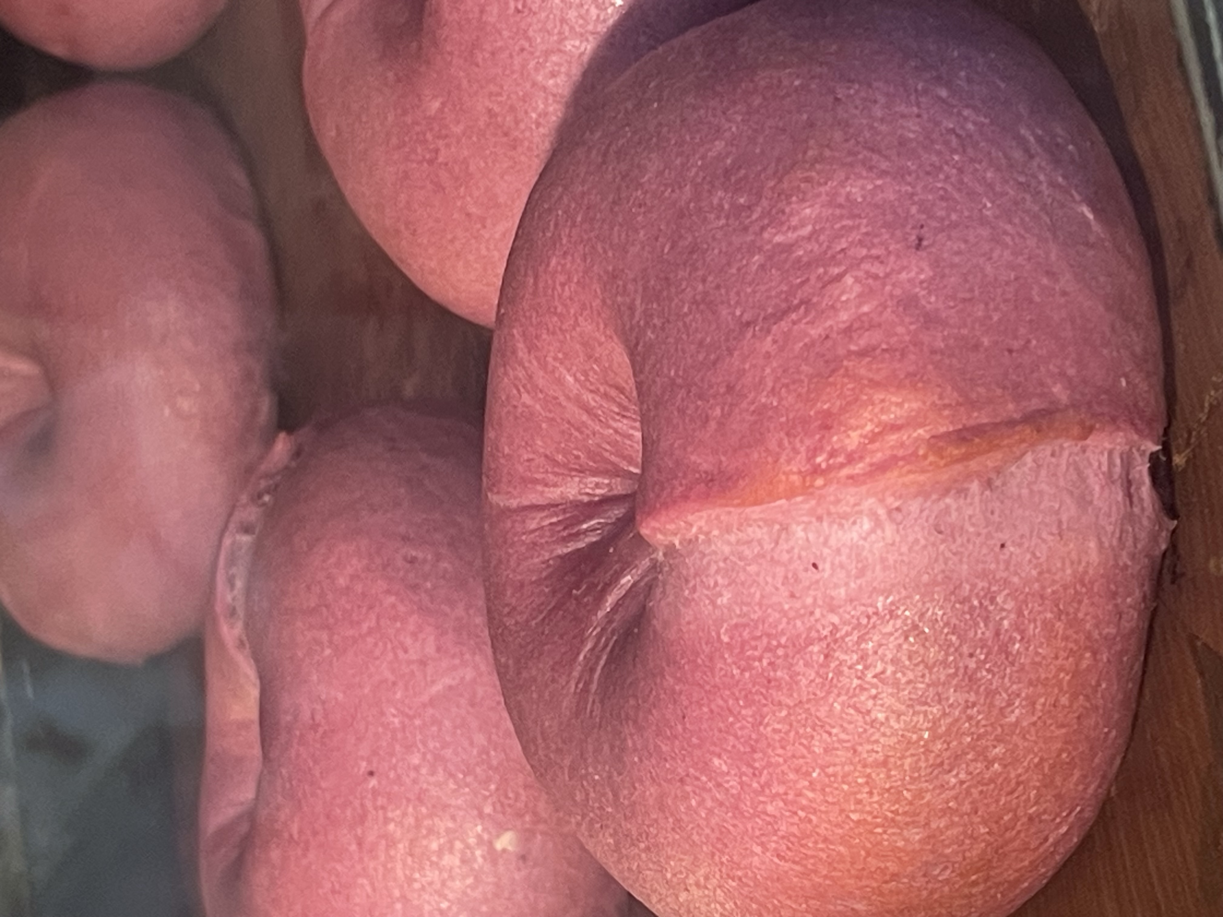純素紫薯小貝果
