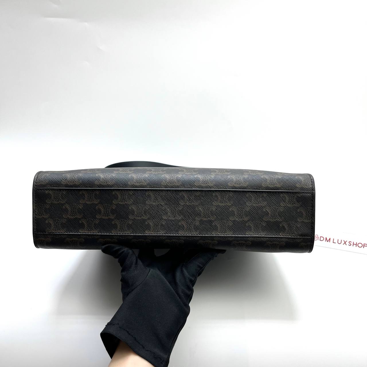 Celine Vertical Cabas in Triomphe Medium
