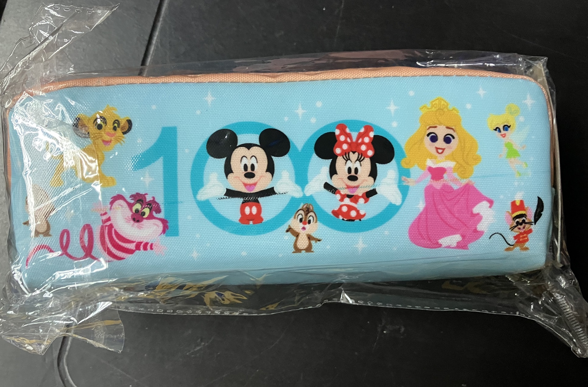 迪士尼 100 米奇 獅子王 胡迪 巴斯 呀愁 毛仔 睡公主 筆袋 週邊文具  [平行進口] AA06392