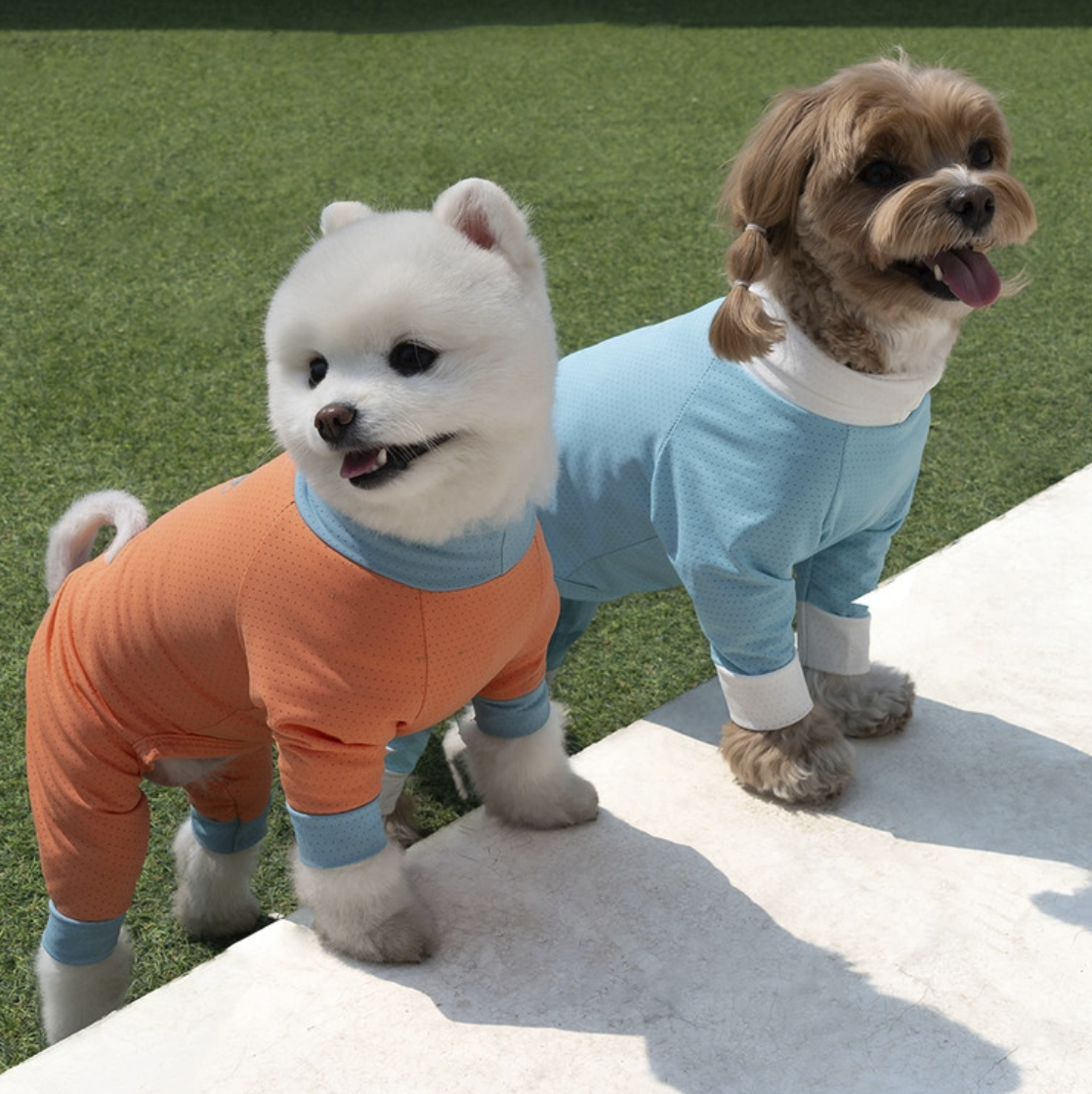*SuperPet🇰🇷 狗狗全方位防護涼感連身衣(DG414)