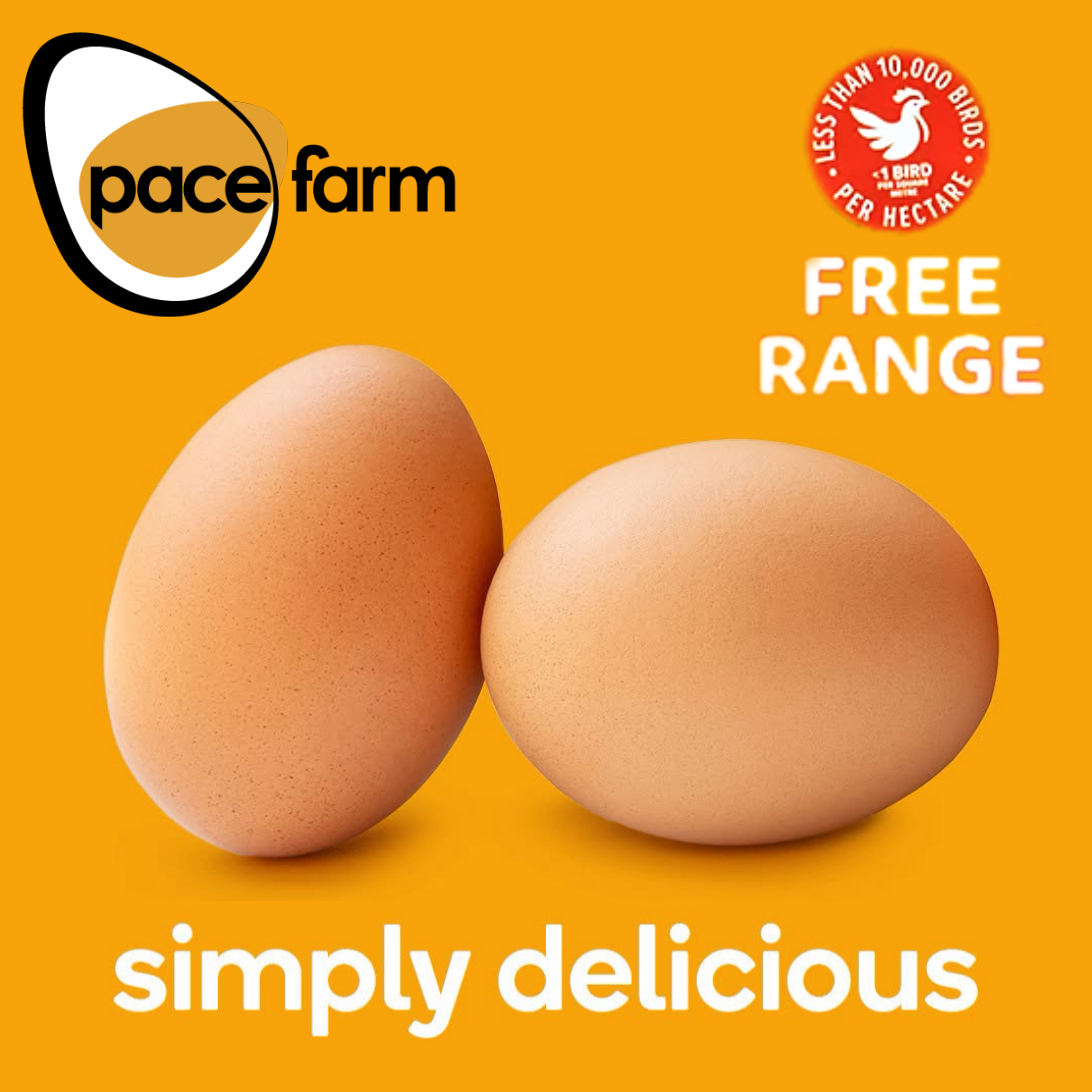 💧澳洲 走地雞蛋 Australia Pace Free Range Chicken Eggs