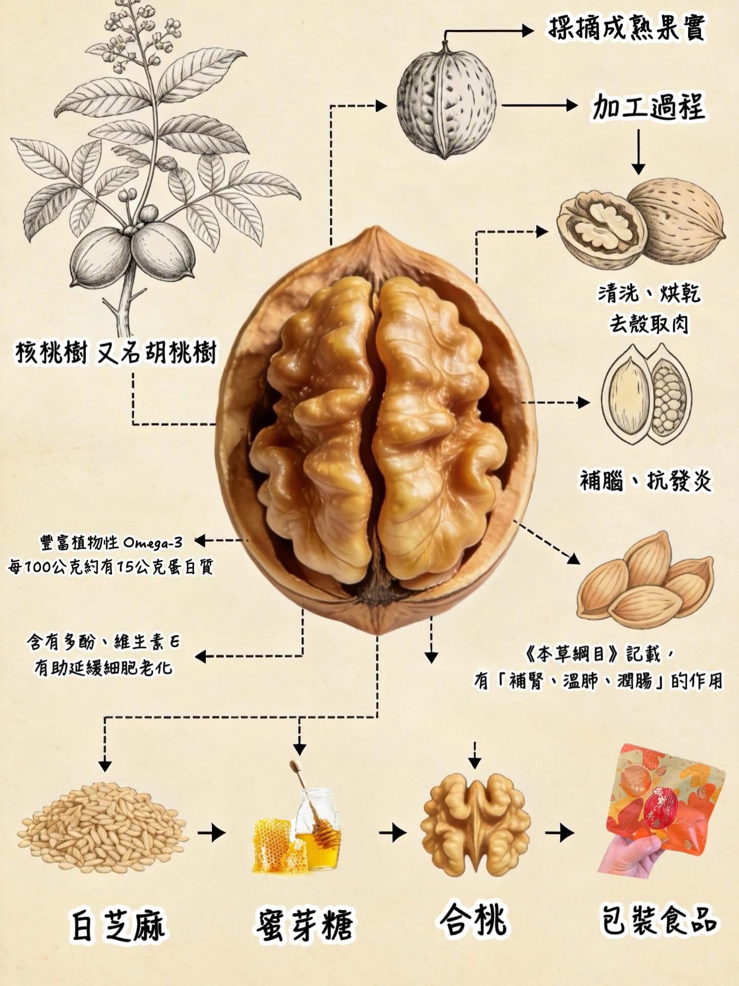 香港品牌香港製造 Doublenuts Station