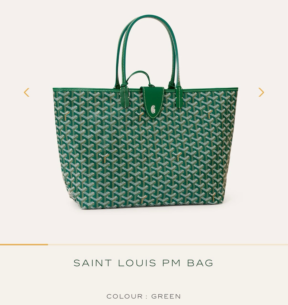 Goyard Saint Louis PM Bag (新款附包夾）