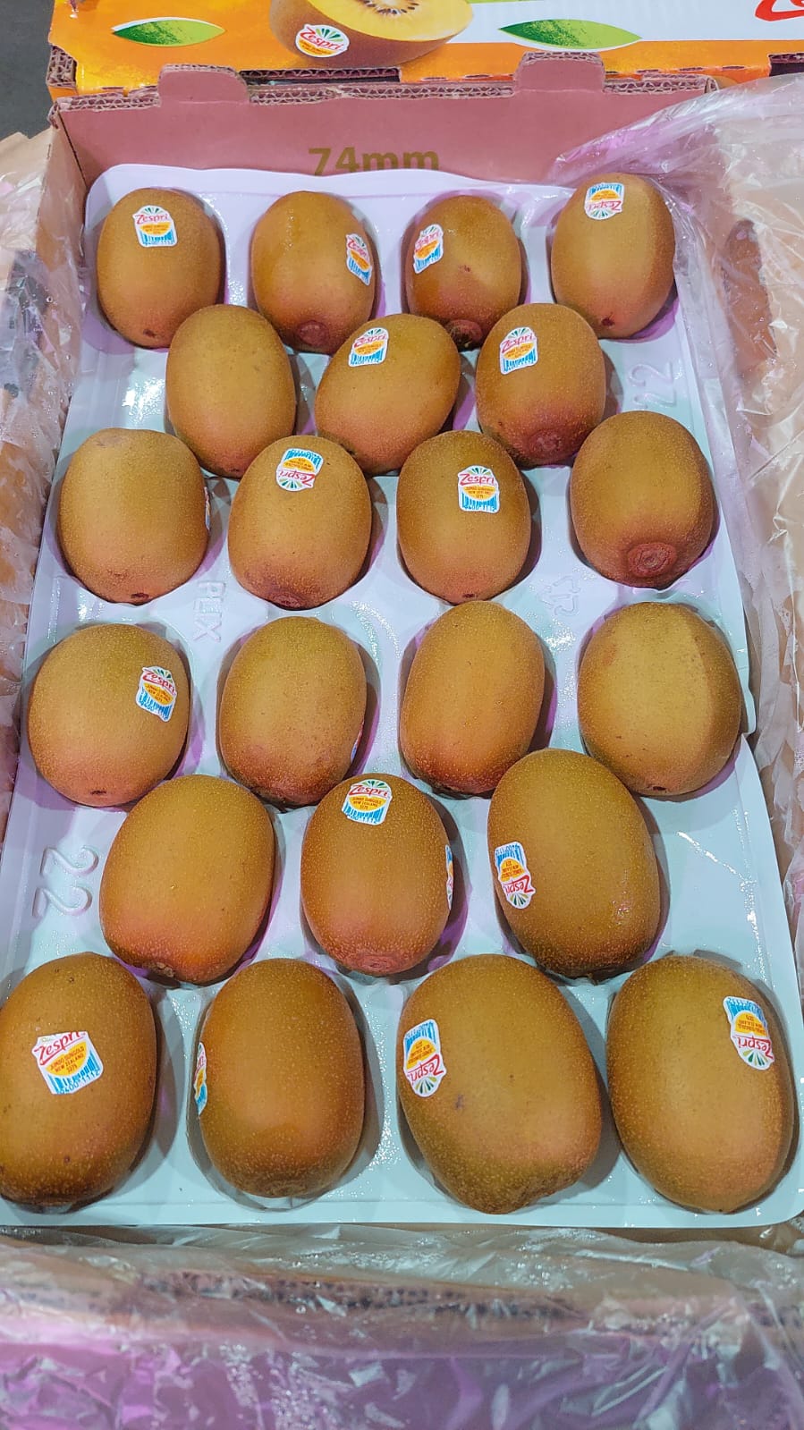 紐西蘭珍寶金奇異 每份两個