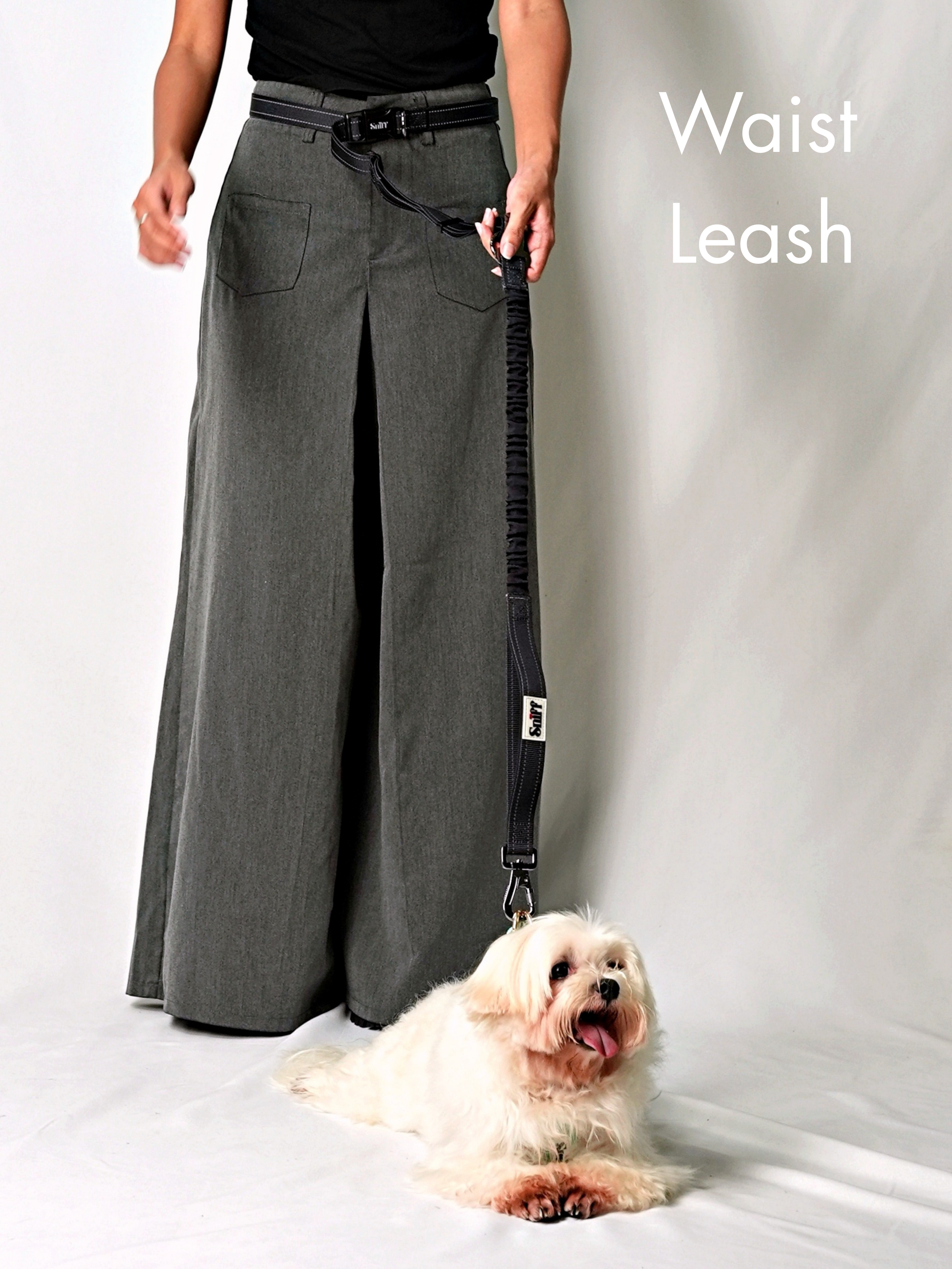 Hands Free Multifunction Leash with Poop Bag - Black