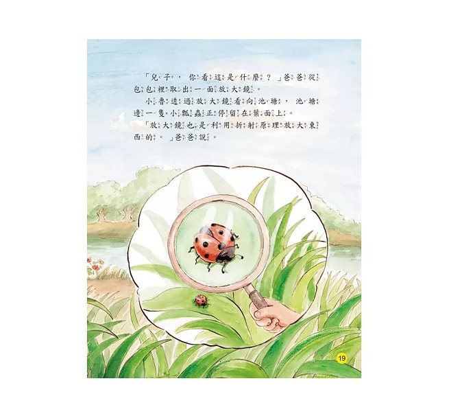 螢火蟲 兒童科學繪本: 你看到了什麼？