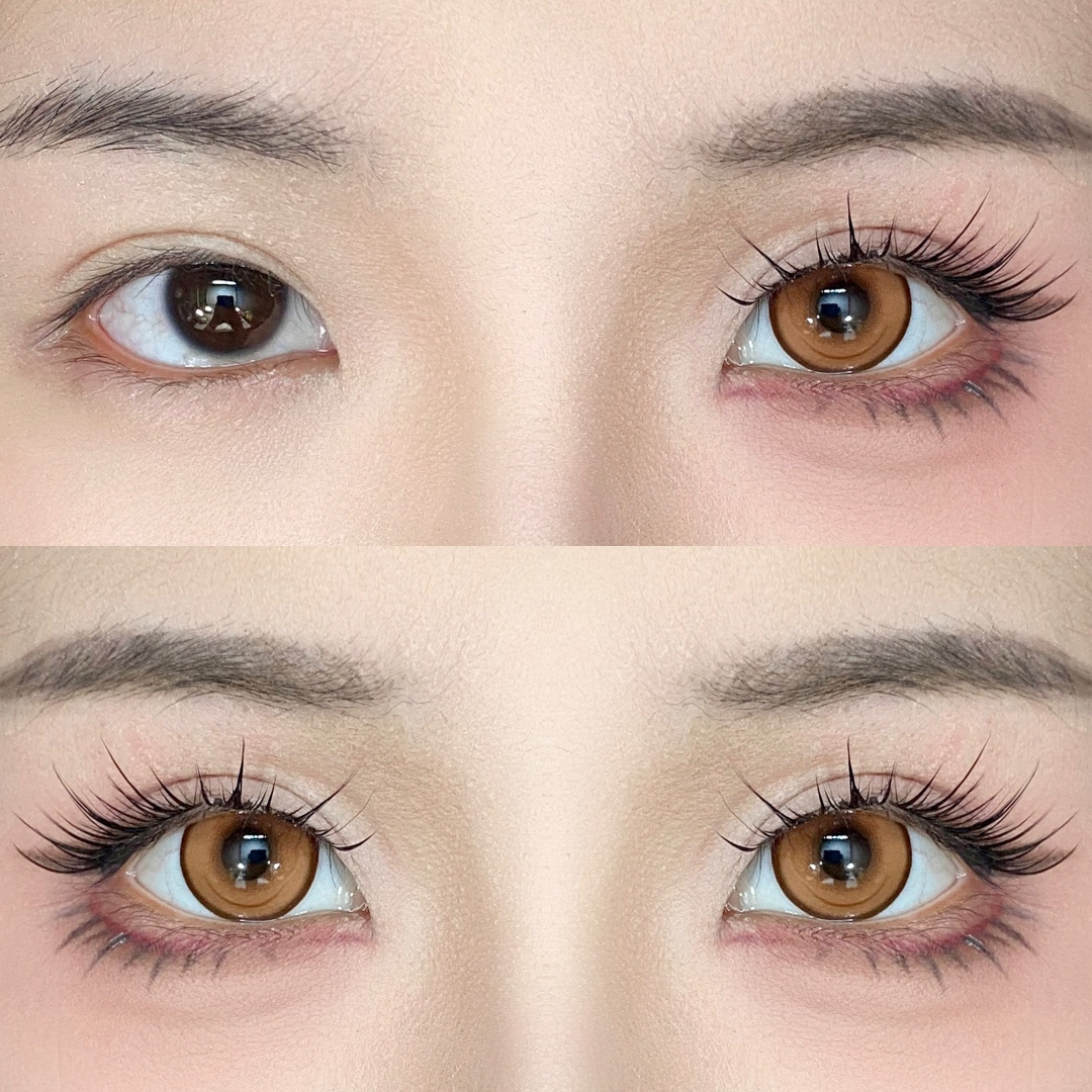 Dgugulens 日拋 系列 心跳躍動系列