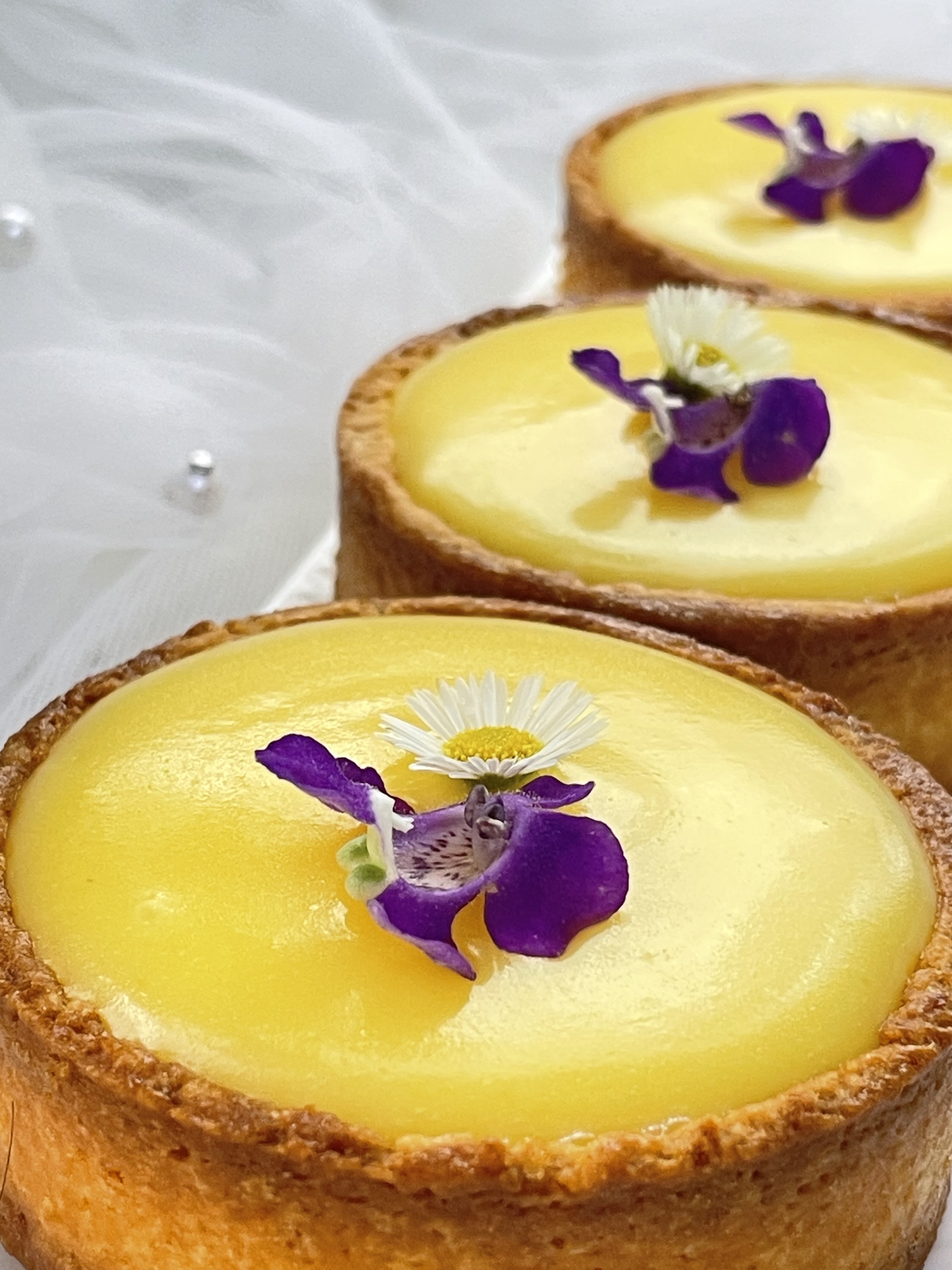 法式芝士檸檬撻 (一套6件)