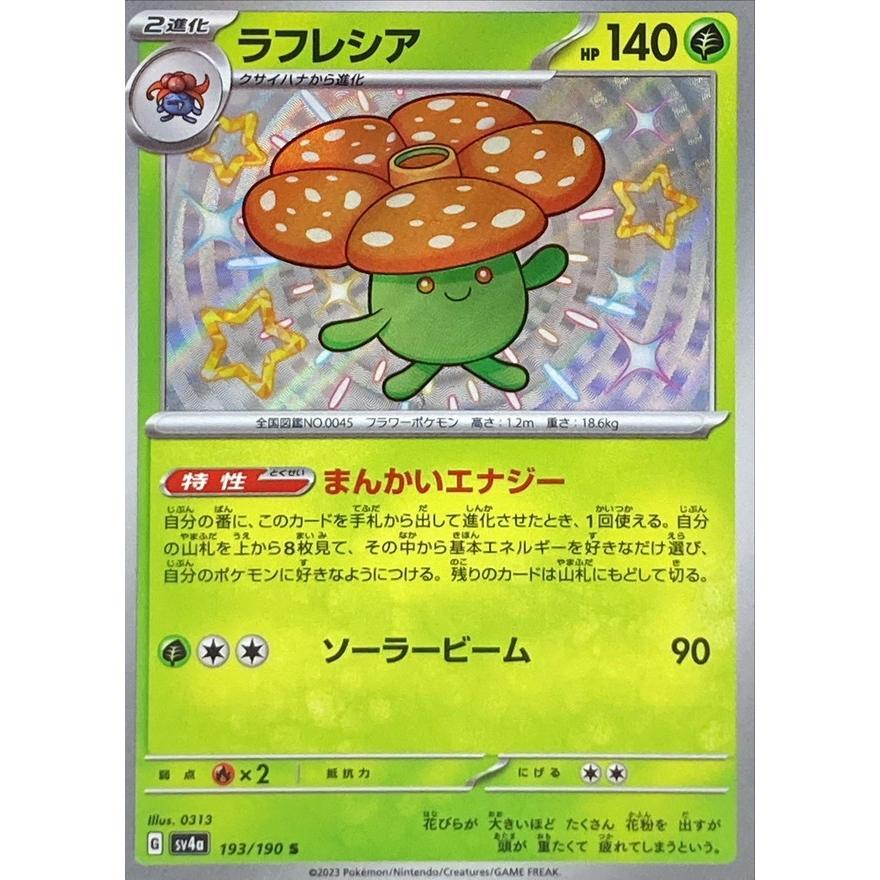 193/190 ラフレシア  S 