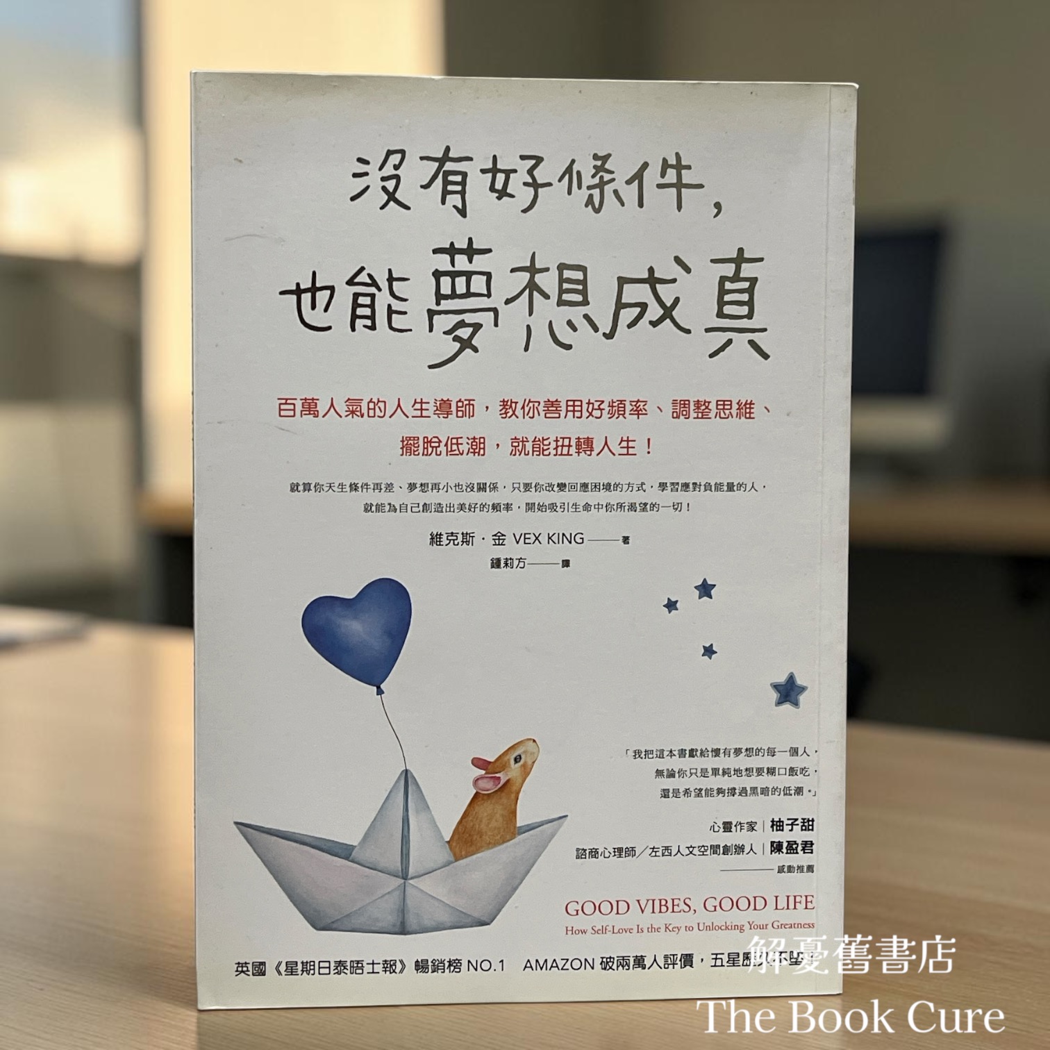 沒有好條件，也能夢想成真 / 維克斯．金 著