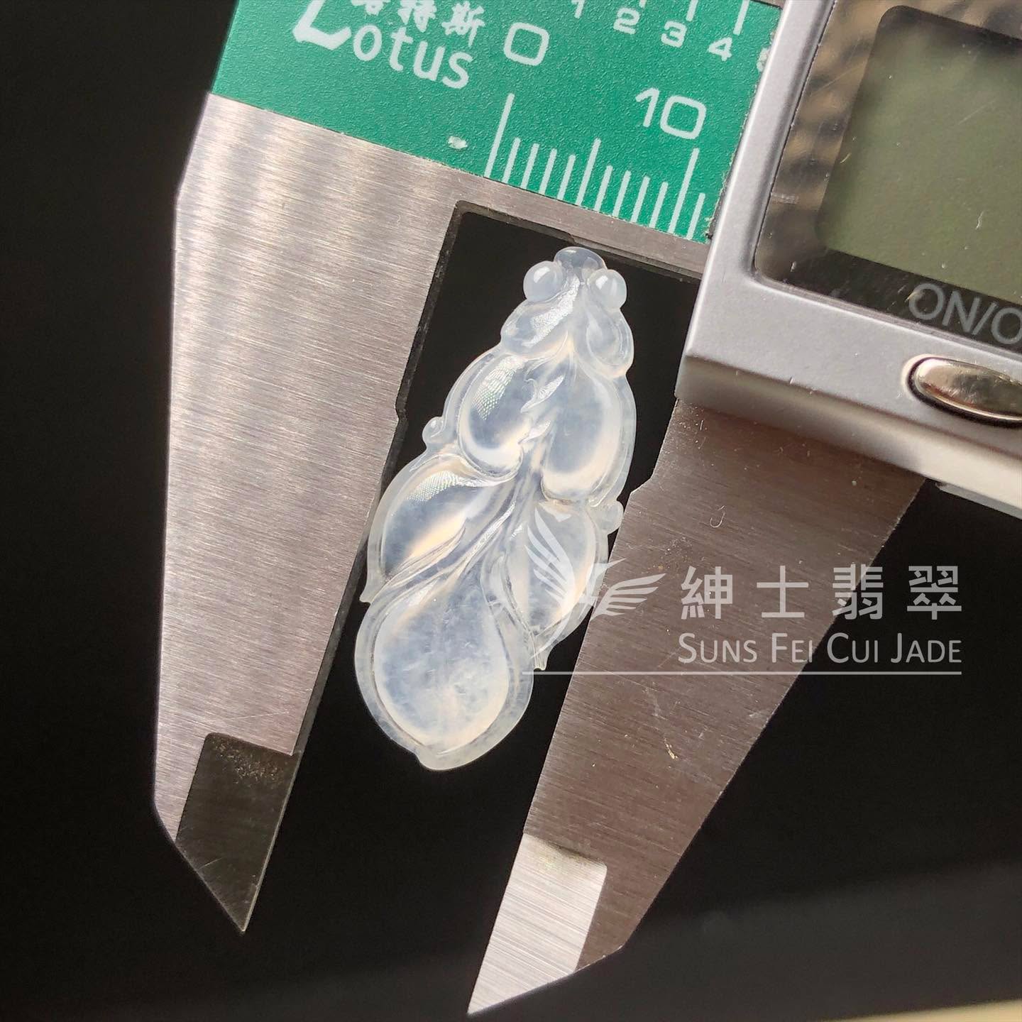 B08960 冰種福葉
