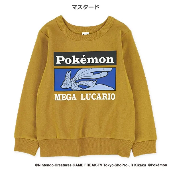 <🌟新品訂購🌟>比卡超薄毛底衞衣[PK65607]