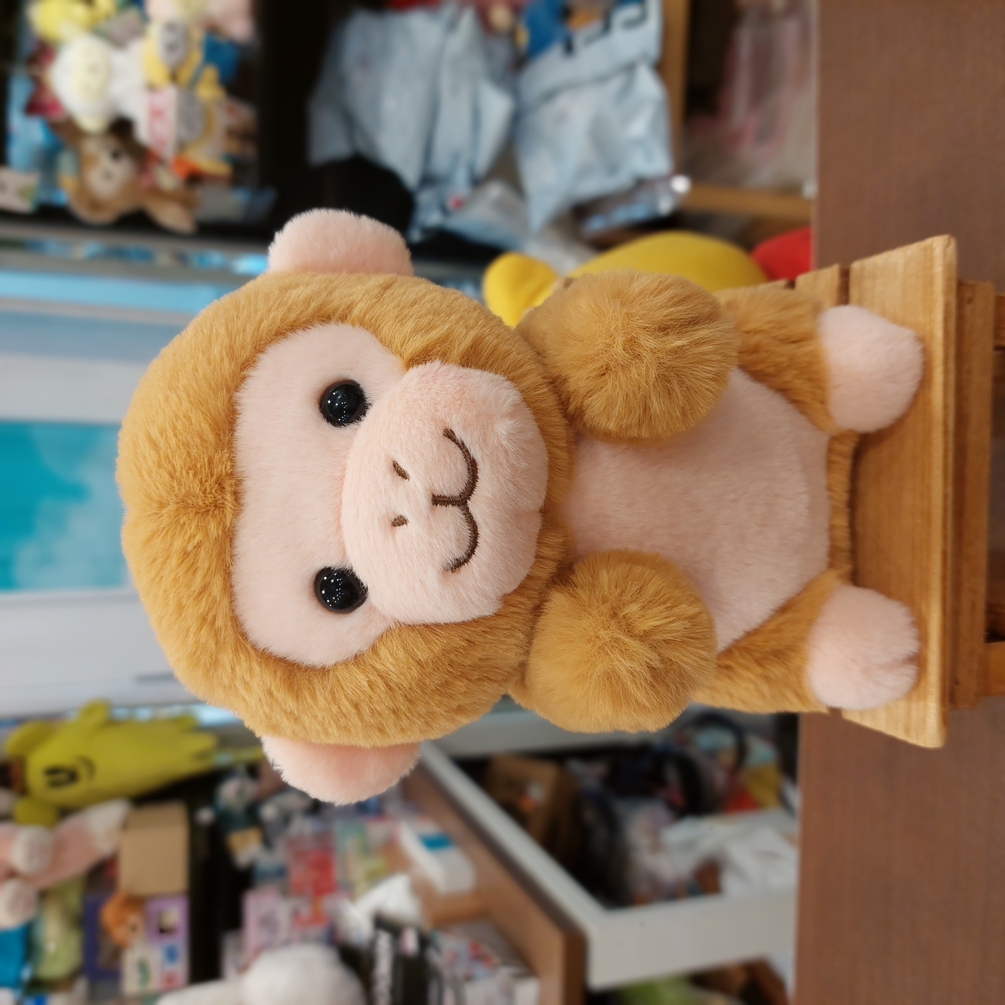 日本 市川動物園 ss size 馬騮仔 punchi 君 抽獎版