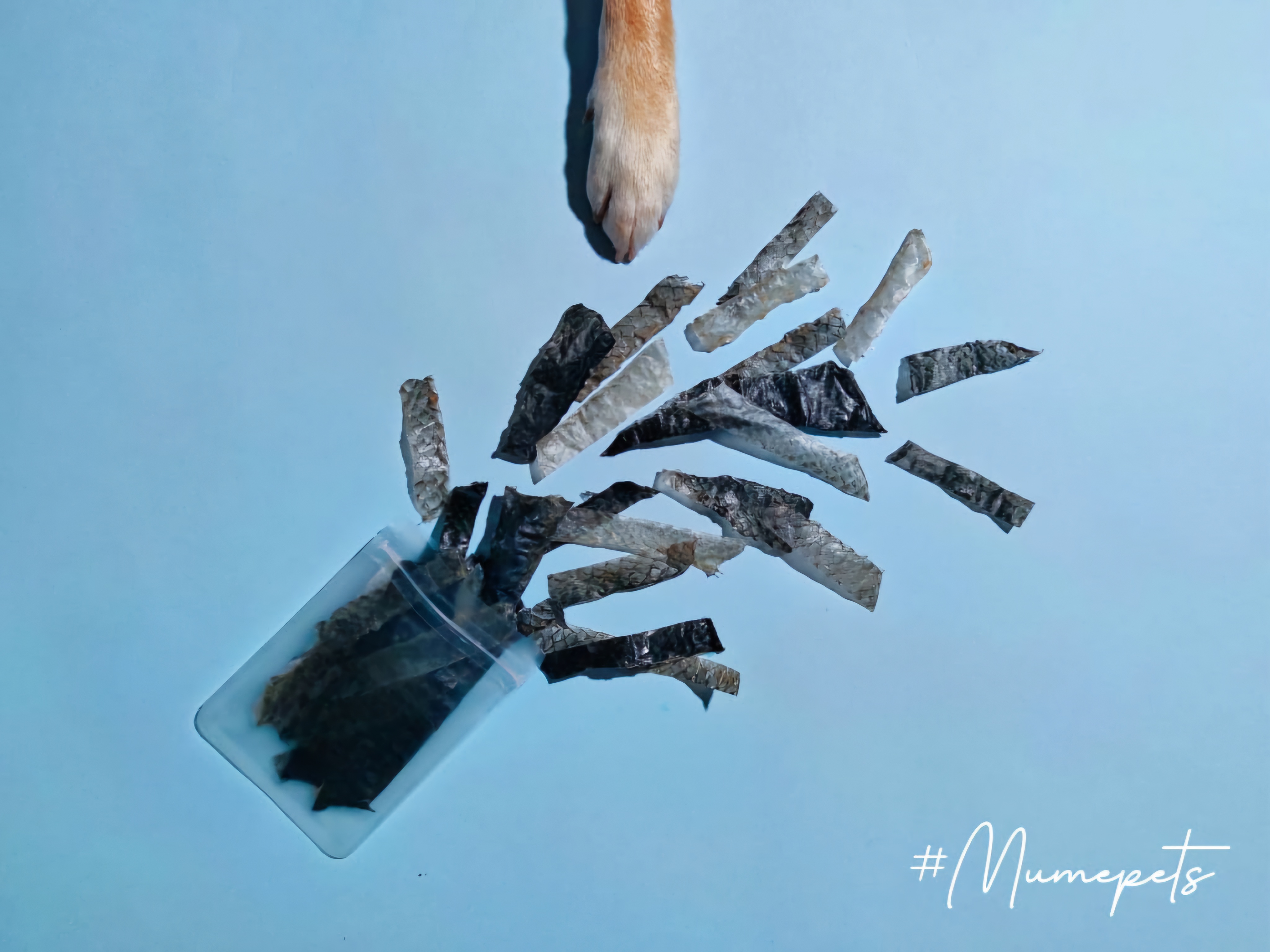 脆脆三文魚魚皮