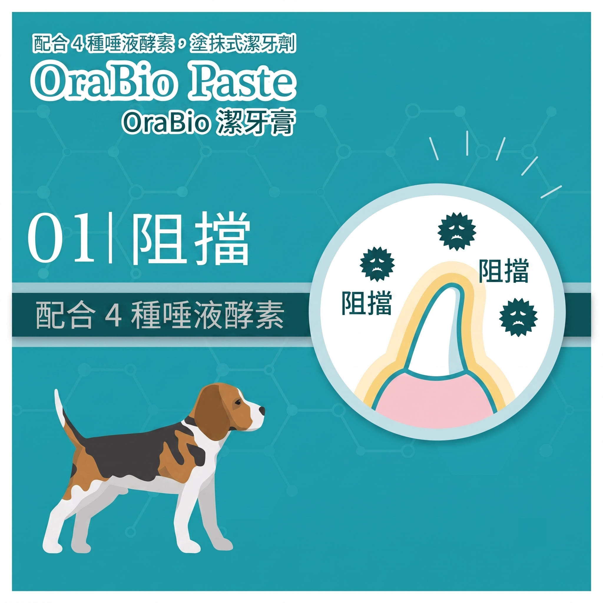 OraBio🇯🇵PRO 升級版無添加酵素牙膏 (無香料 / 50g)
