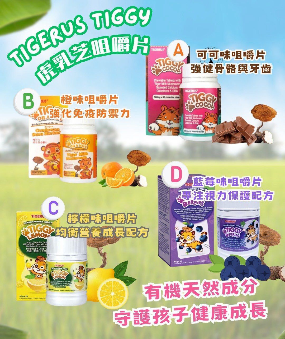 🍭長訂🍭 $155樽2樽起$145樽。🐯 TIGERUS®️ TIGGY 虎乳芝咀嚼片系列】