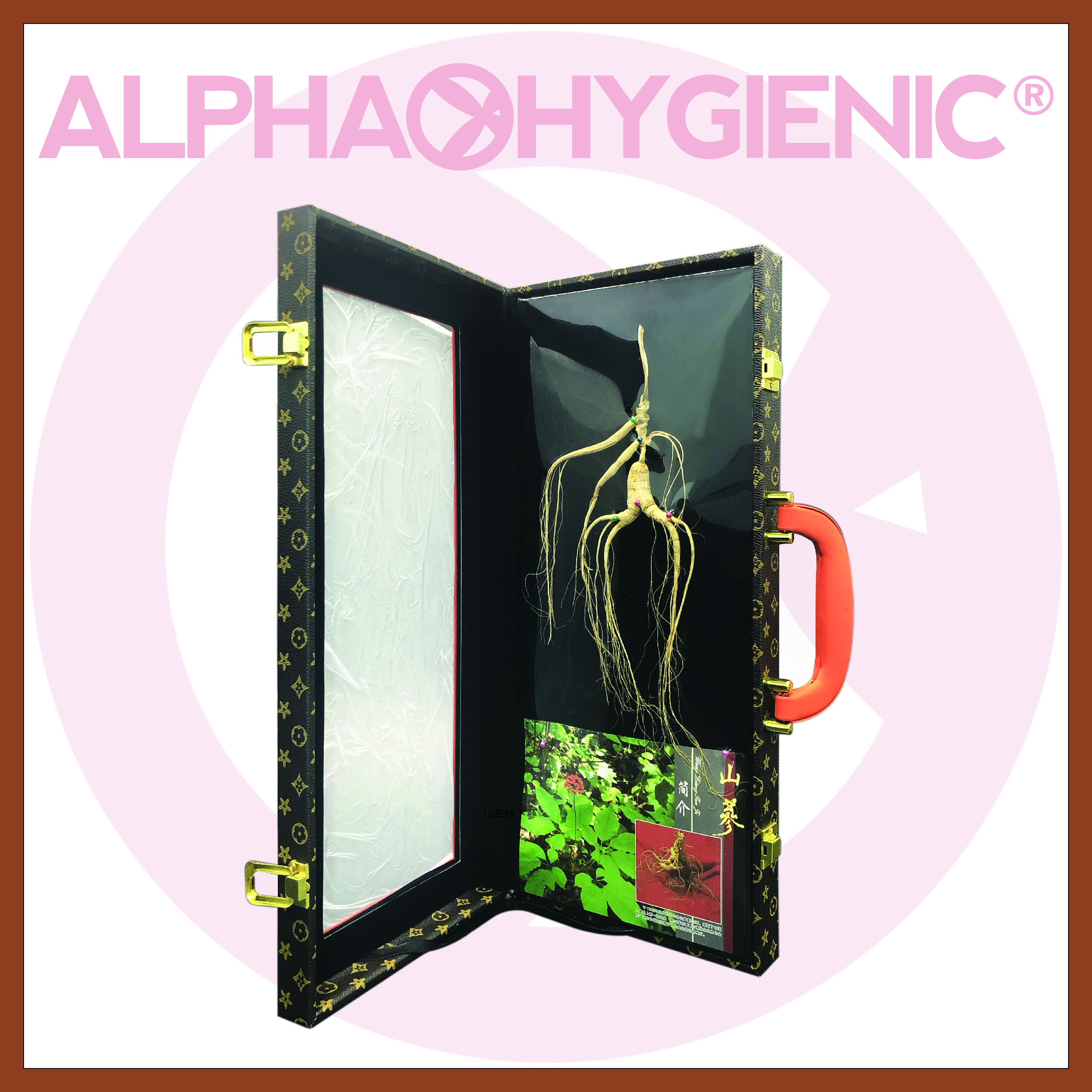 10年長白山林下蔘