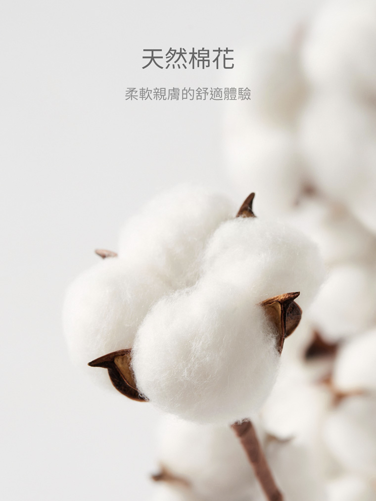 💚代購 台灣直送💚正版授權Miffy&Boris 兩色人物滿印毛圈長袖家居服上下套裝