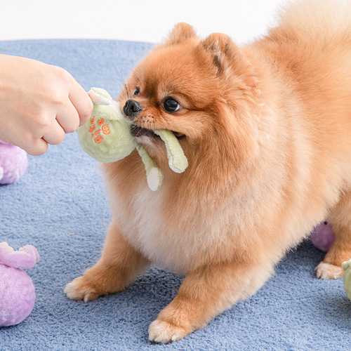 *預購 BiteMe🇰🇷 BITE ME Long Hands Ball Toy (青蛙/八爪魚)