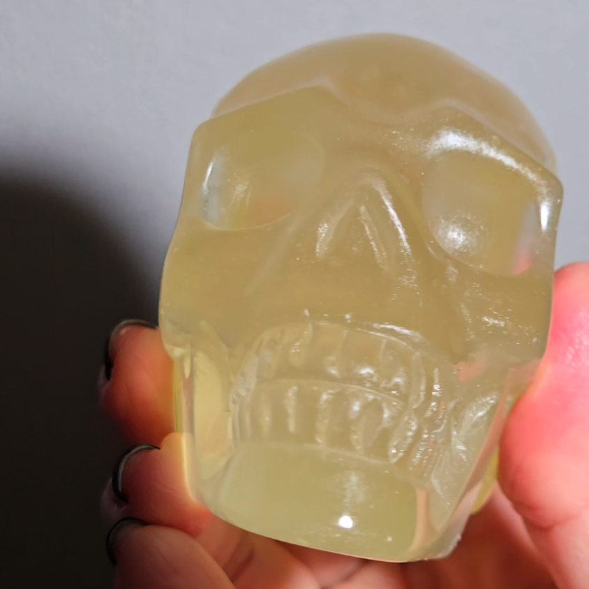 Citrine skull with rainbows and multiple star flash asterism - C59