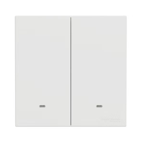 施耐德 奐然AvatarOn C 白 2位雙控 開關掣