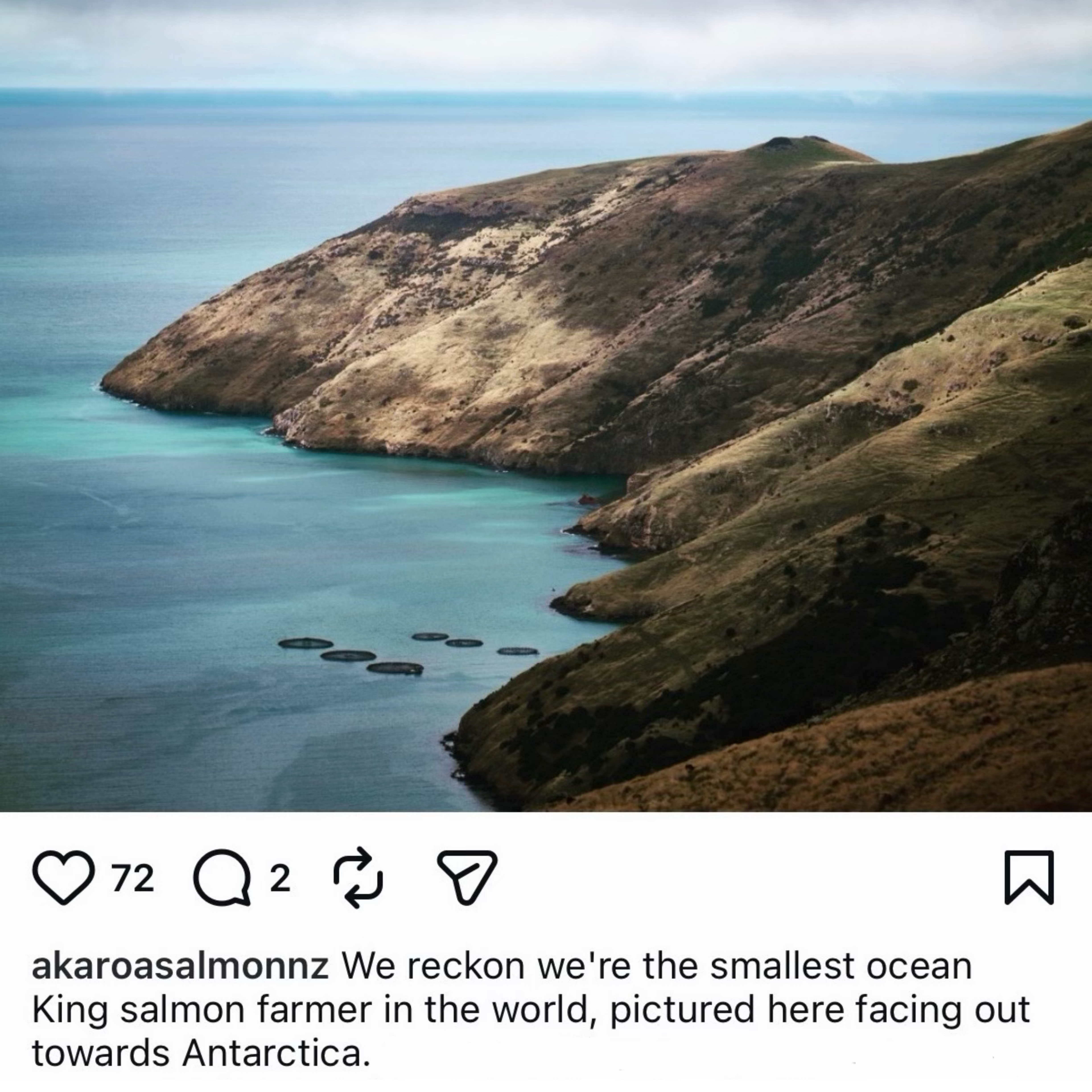 ❄️紐西蘭 海養帝皇三文魚切件 New Zealand Akaroa King Salmon Portion