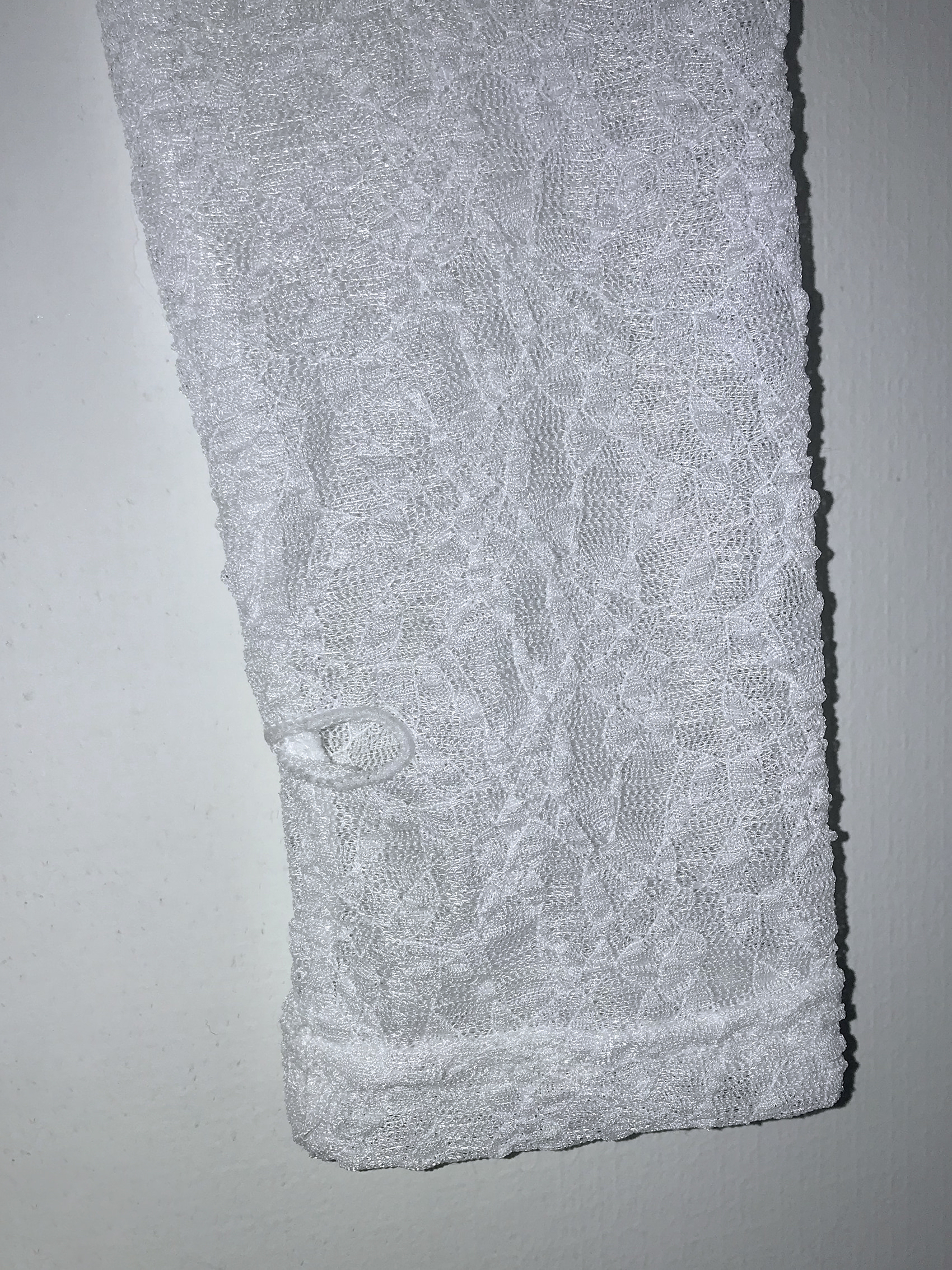 Sheer Lace Round Neck Crop Top