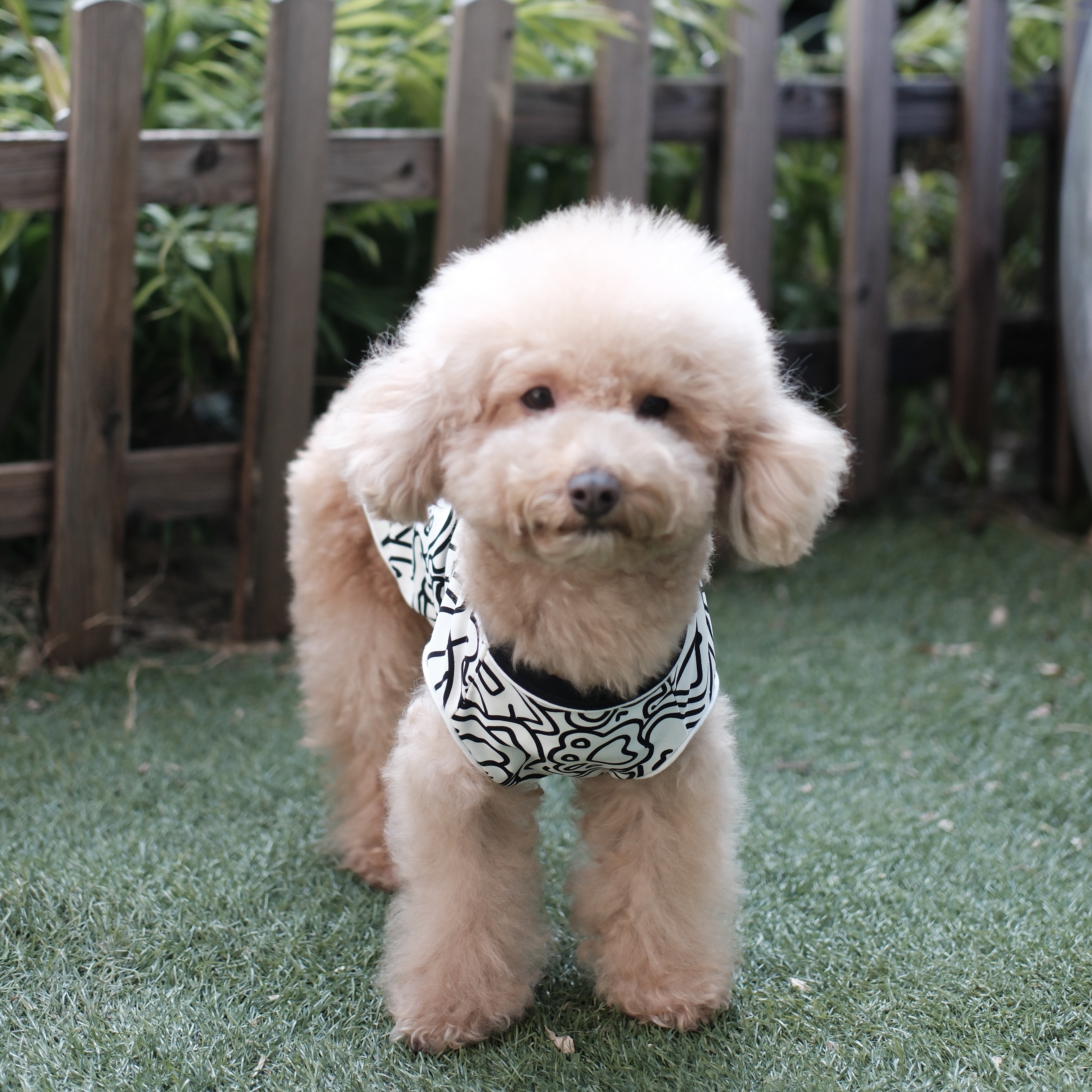 S651   黑白繪畫背心 black and white painting vest