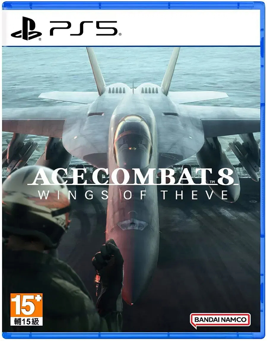 Ps5 空戰奇兵8 希孚之翼