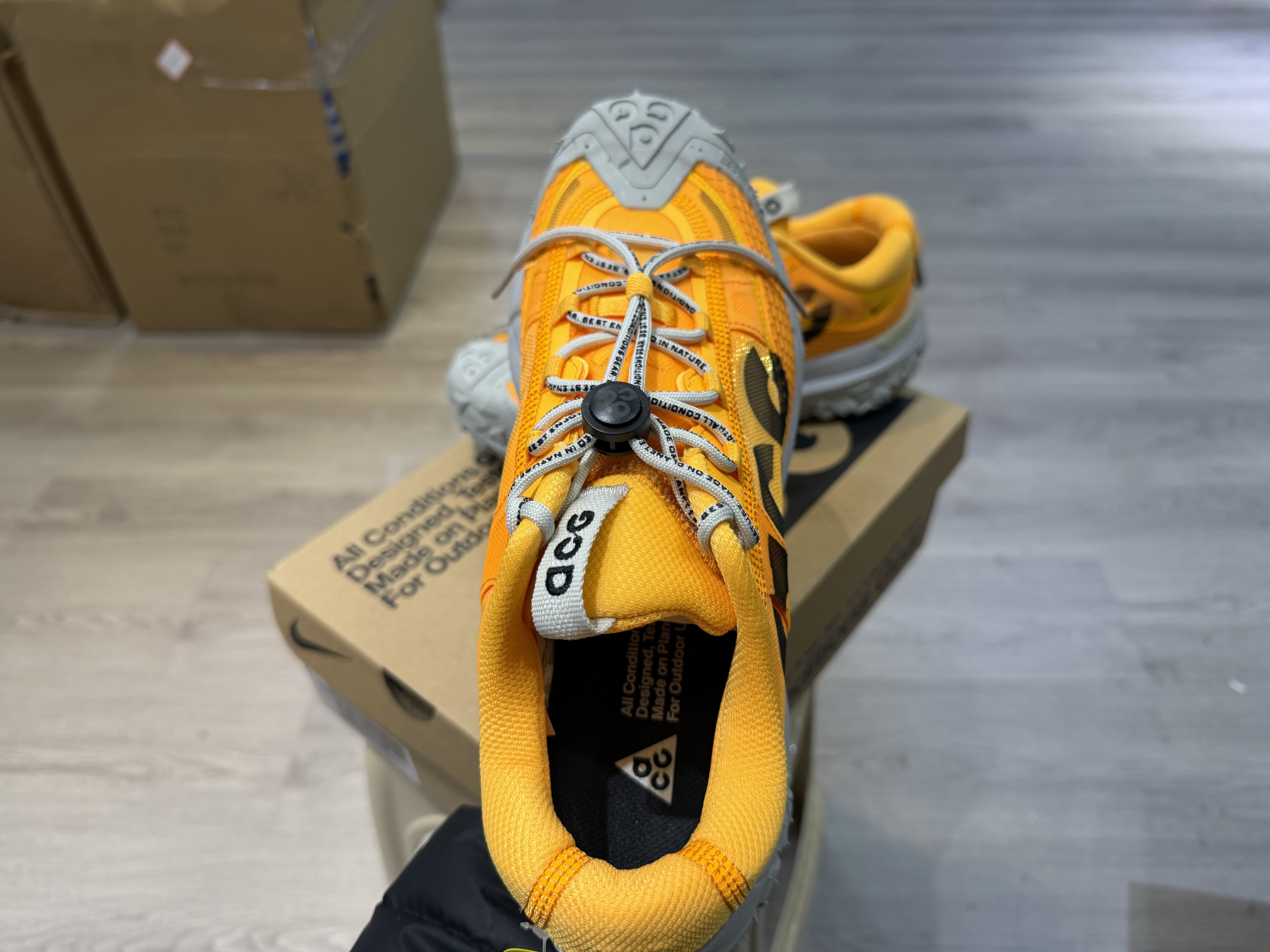 Nike ACG Mountain Fly 2 Low