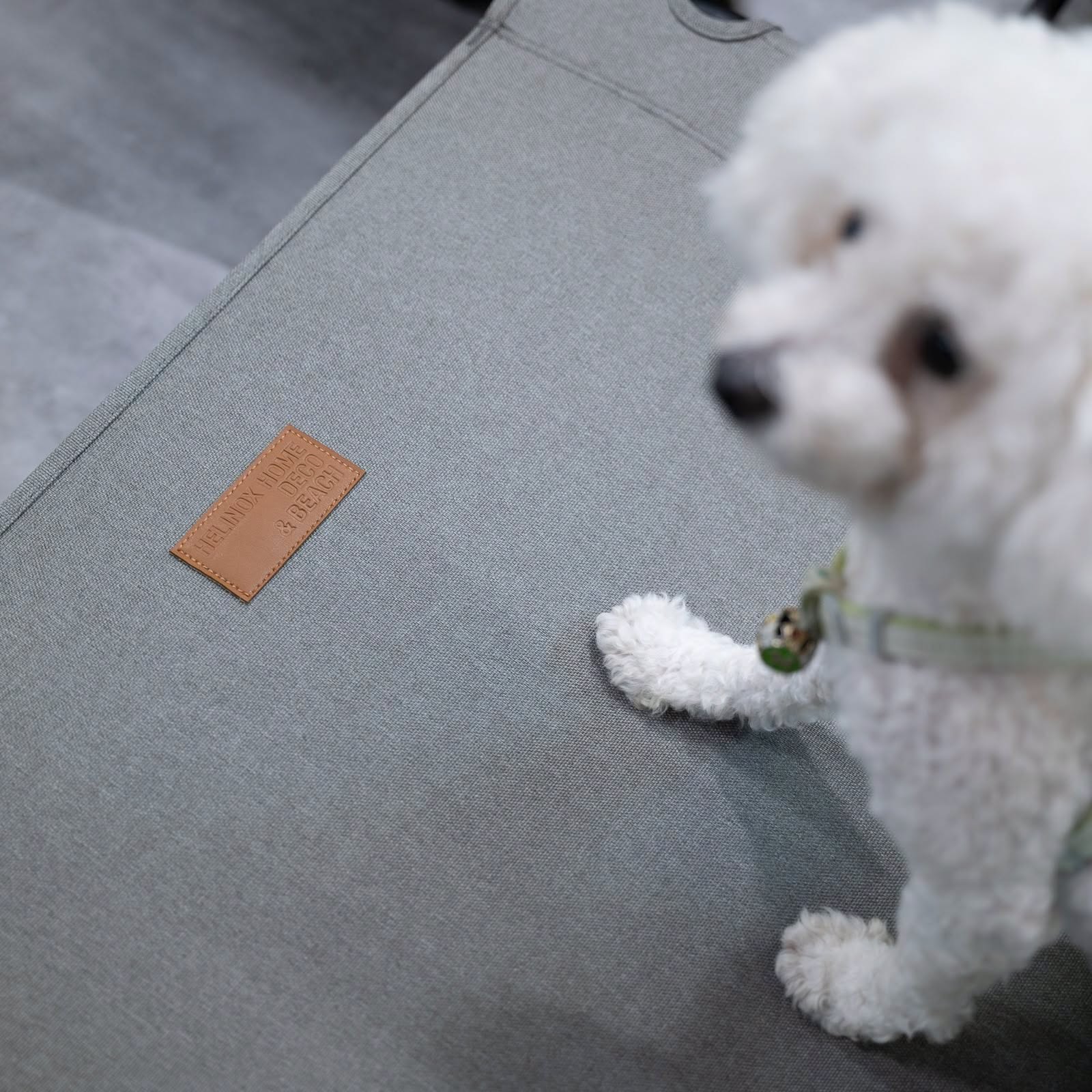 Helinox Dog Cot Home 摺疊寵物床（居家）版本