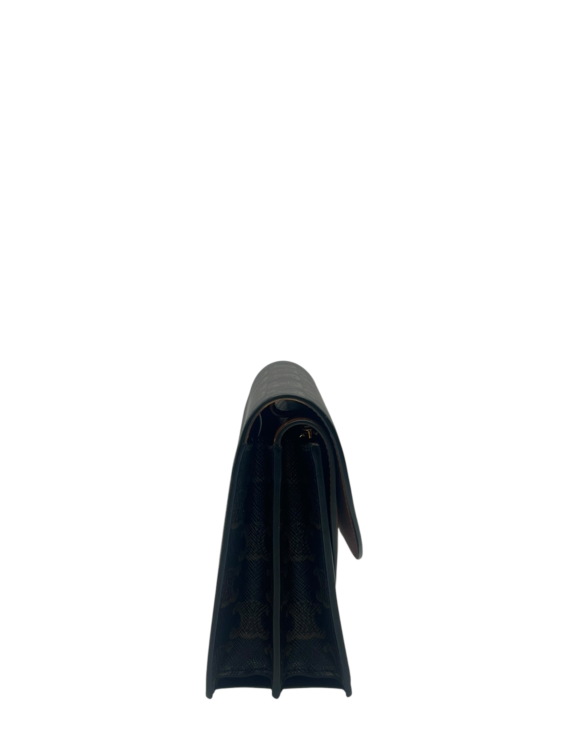 Pre-Owned CELINE Triomphe WOC / Product Code: 26053002