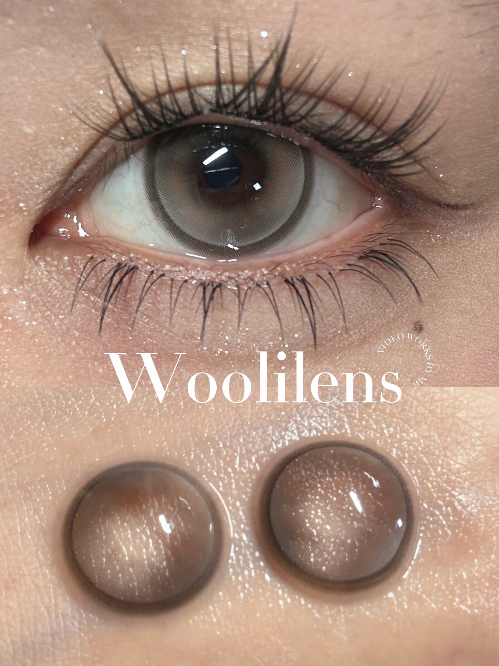 0度現貨 Woolilens半年拋 彩虹中毒棕