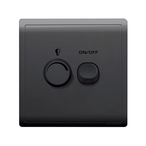 施耐德 Pieno 寫意黑 單位 光暗掣