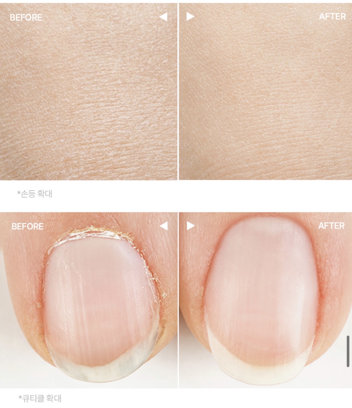 Hetras 精華護手霜515ml（牡丹無花果Bombshell）