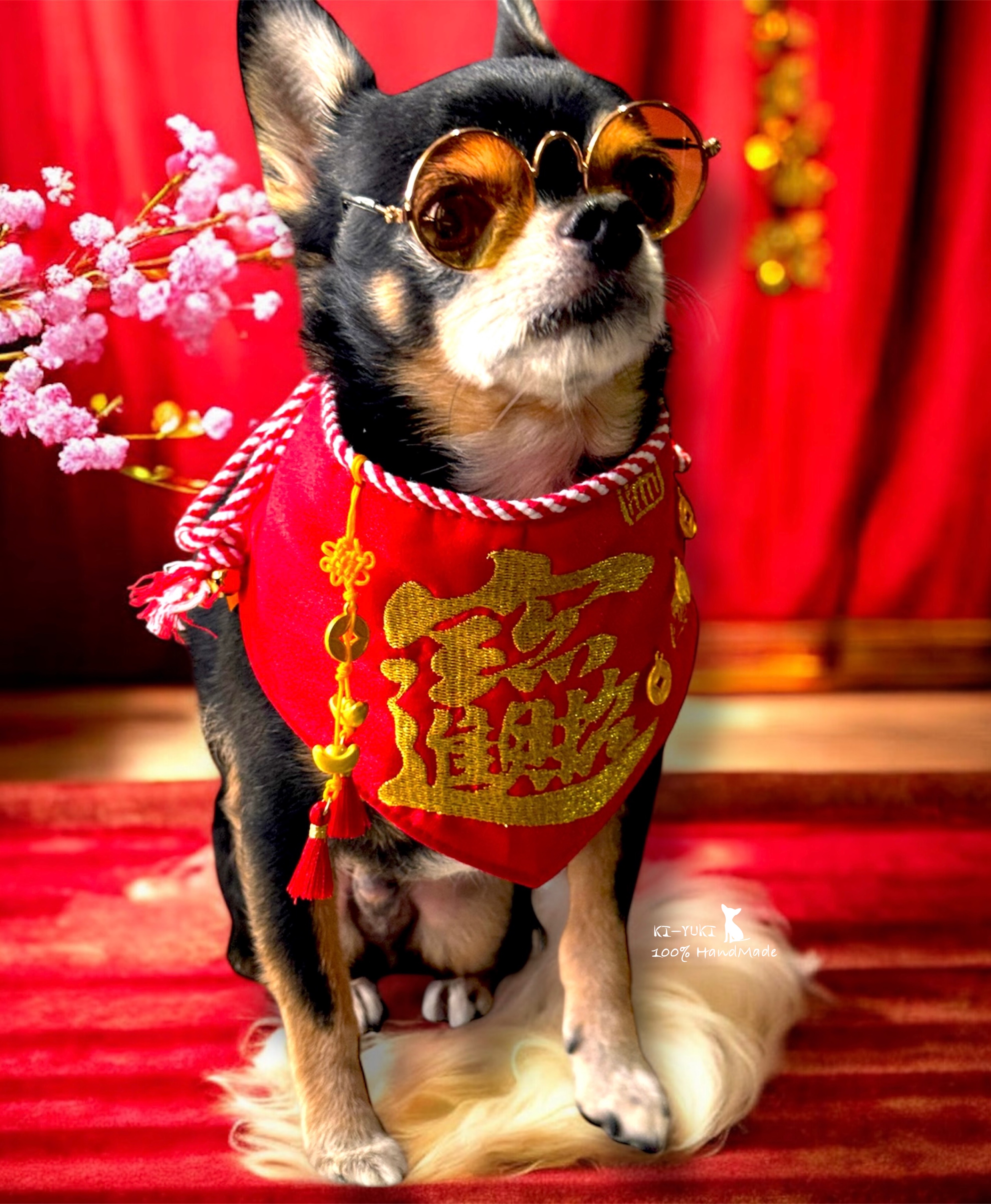 新春賀歲手作新品 毛孩賀歲圍脖頸飾 招財進寶