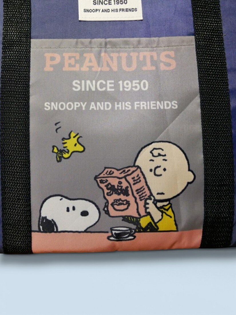 🆕【⭐訂購⭐】🇯🇵日本直送 🌀#Snoopy 保冷保溫購物籃（附底板）［3款選］🌀[ELCD-0178][260430]