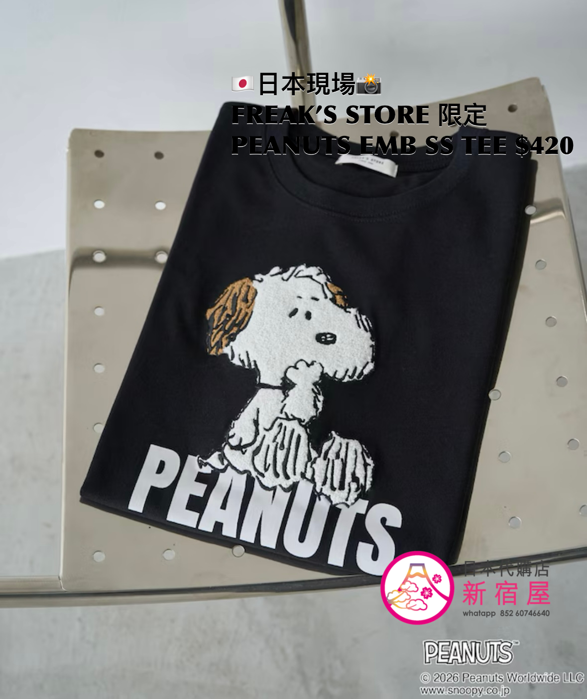 FREAK’S STORE 限定 PEANUTS EMBROIDERY S/S T-SHIRT 